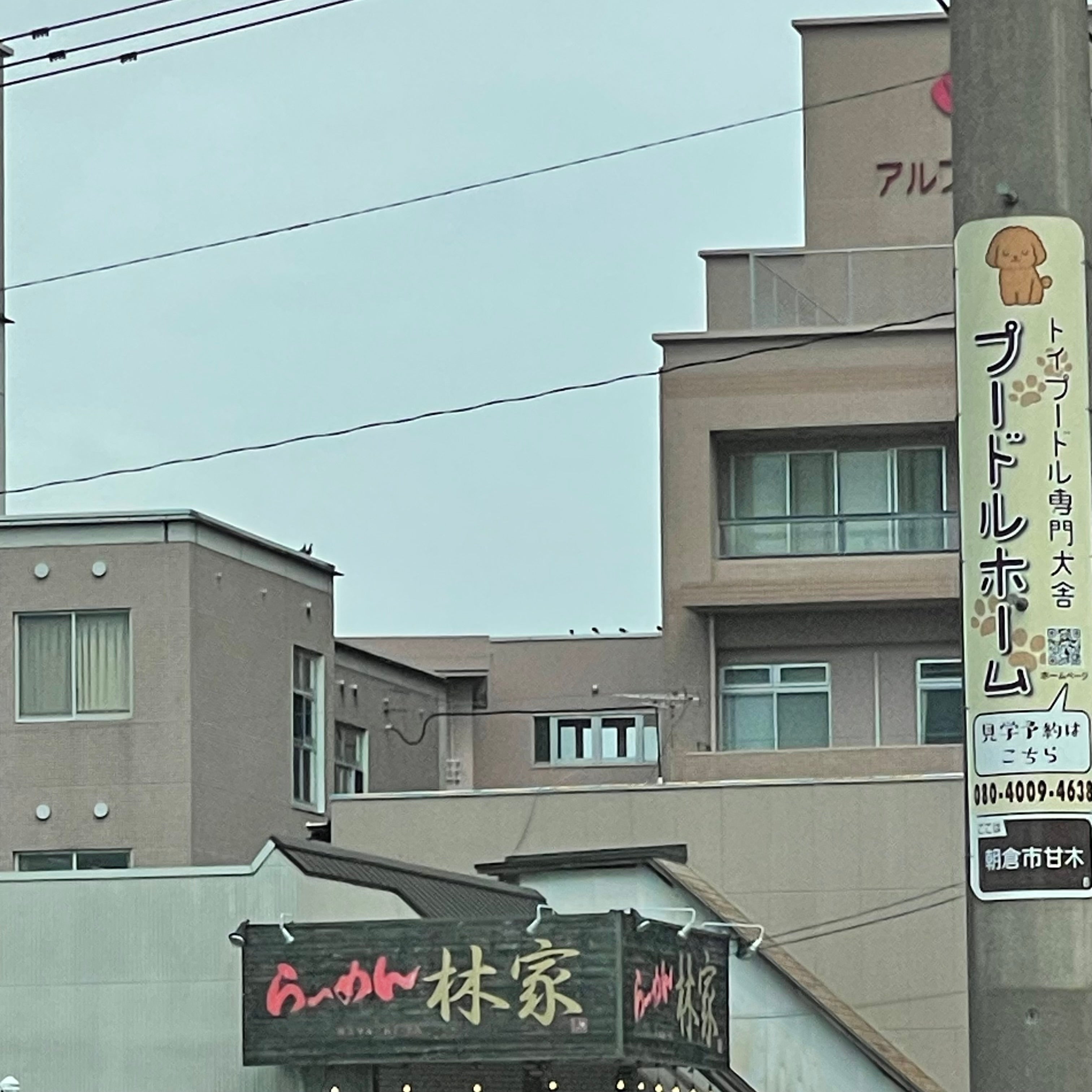 林家_3枚目