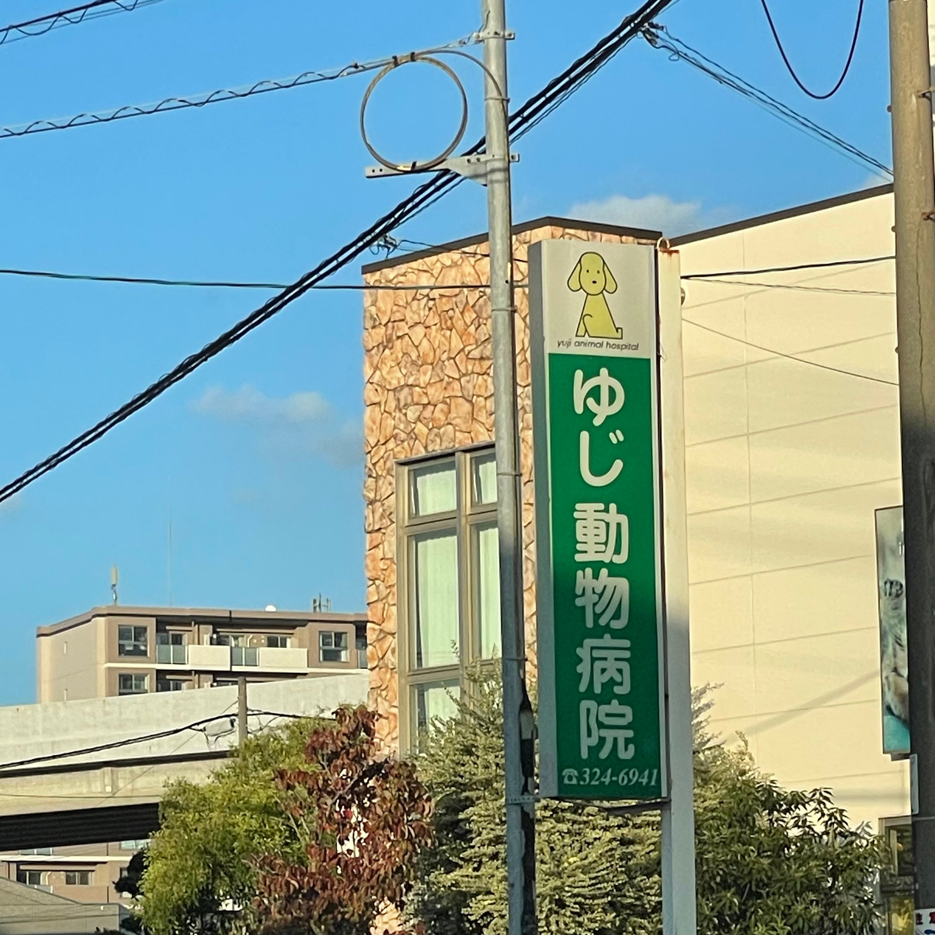 ゆじ動物病院_1枚目