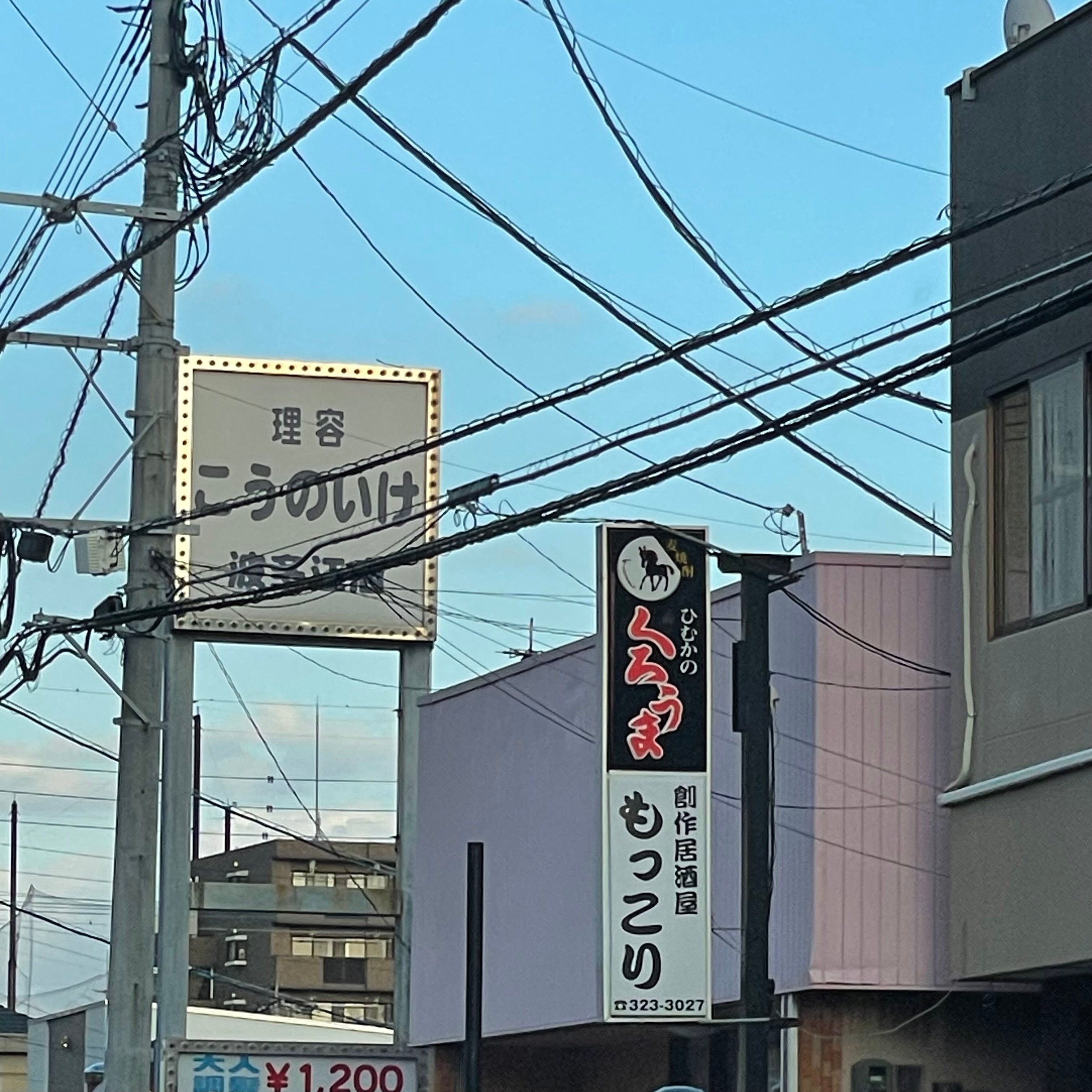 居酒屋もっこり2号
