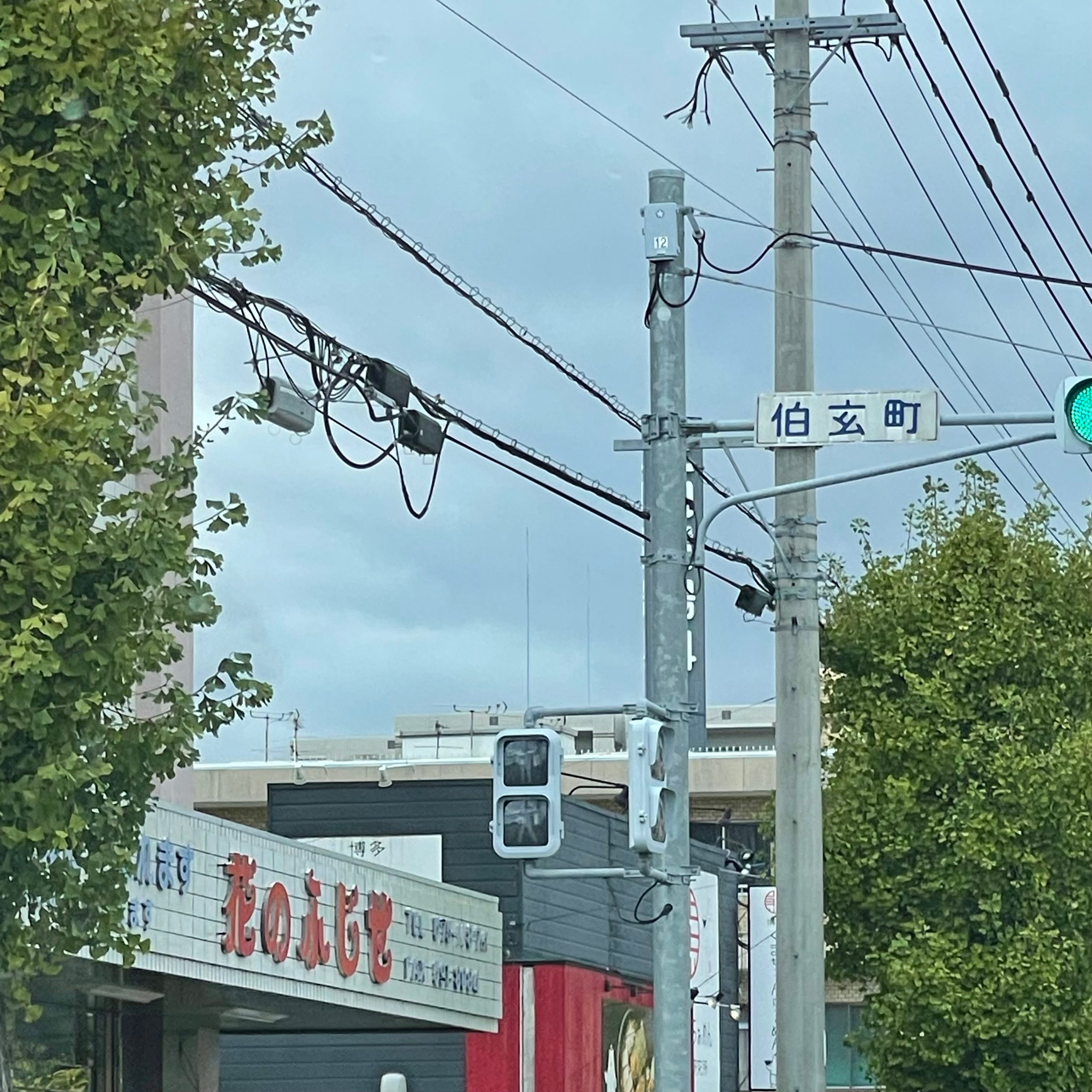 ふじせ生花店_2枚目