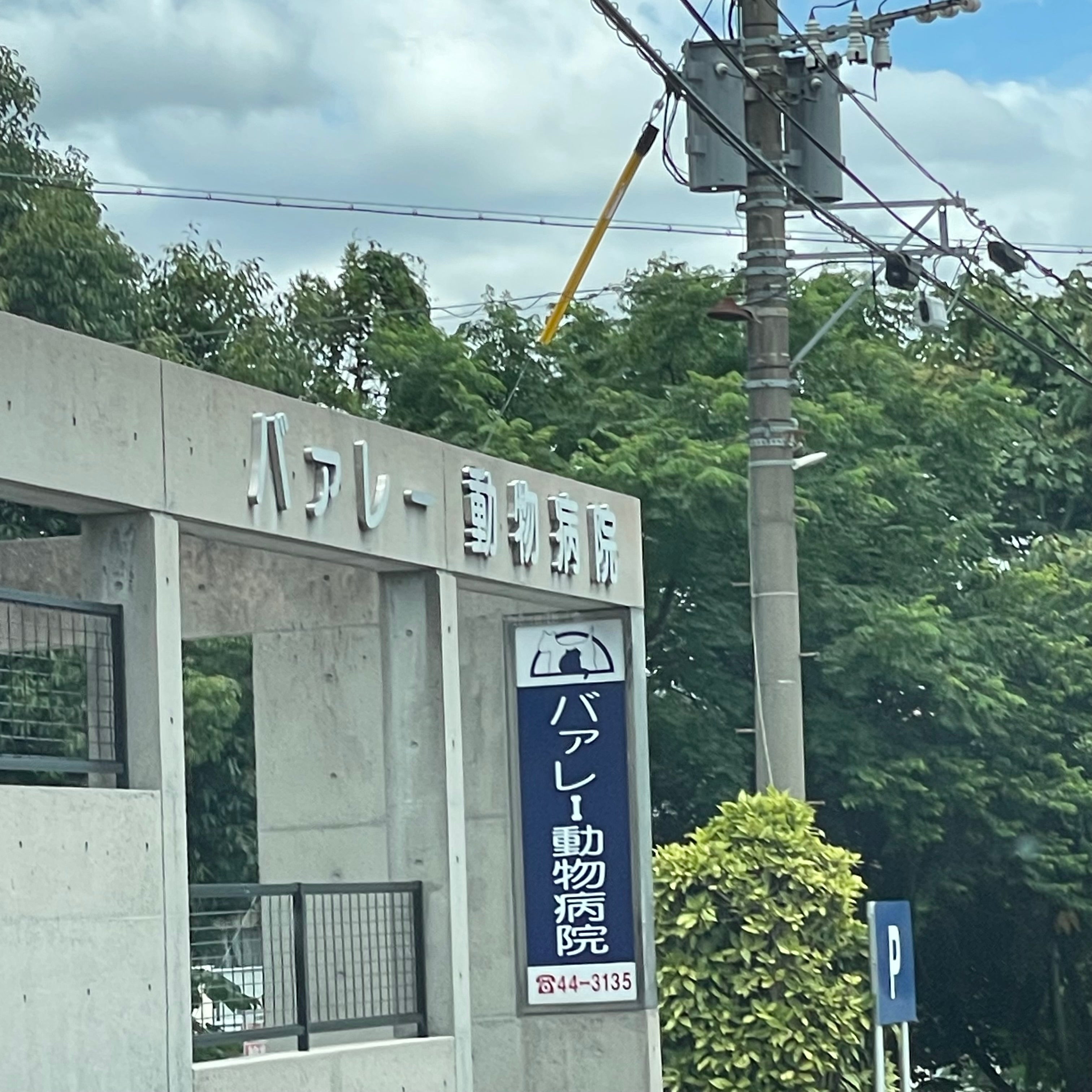 バァレー動物病院_2枚目