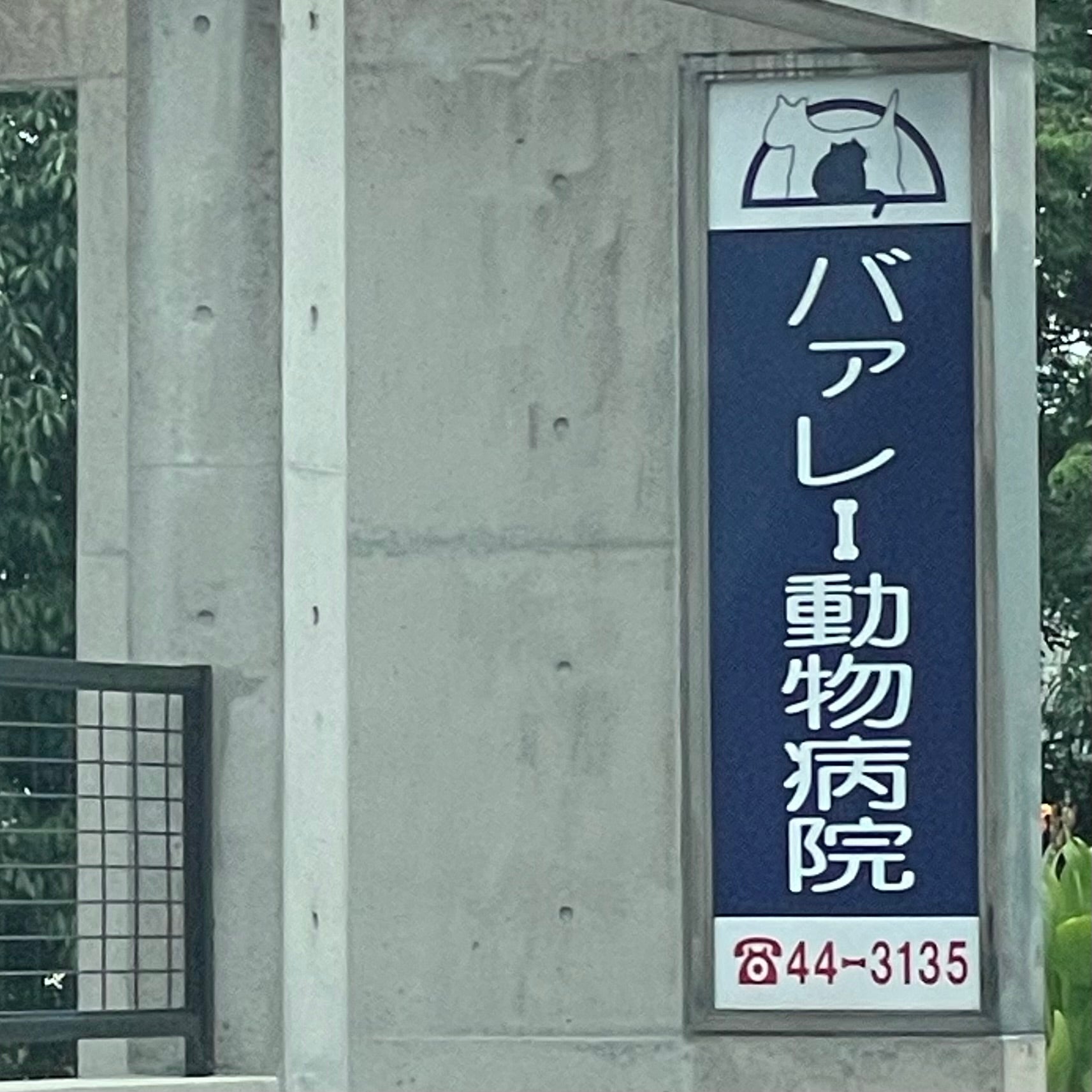 バァレー動物病院_1枚目