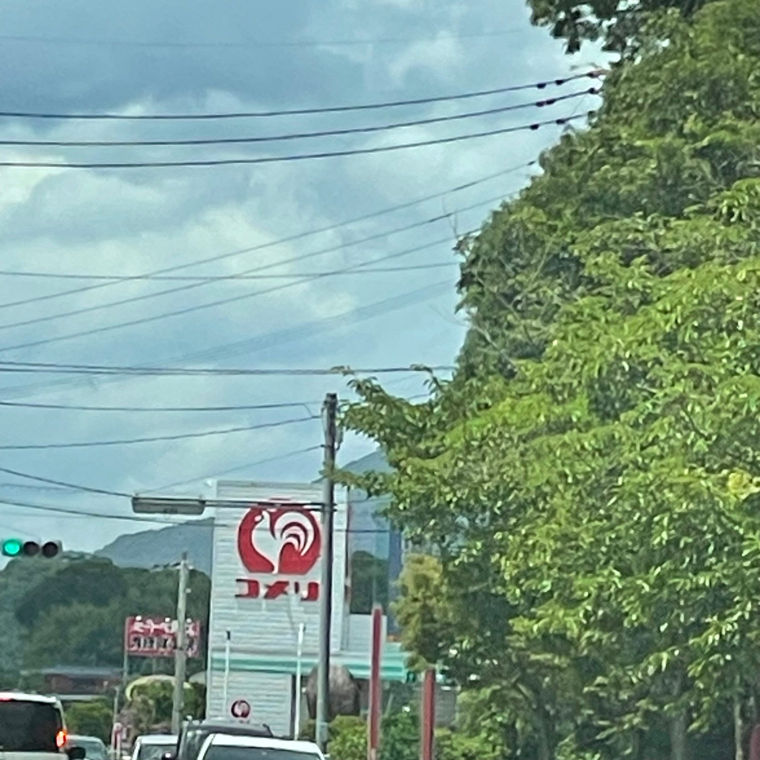 コメリハード＆グリーン大任店_1枚目