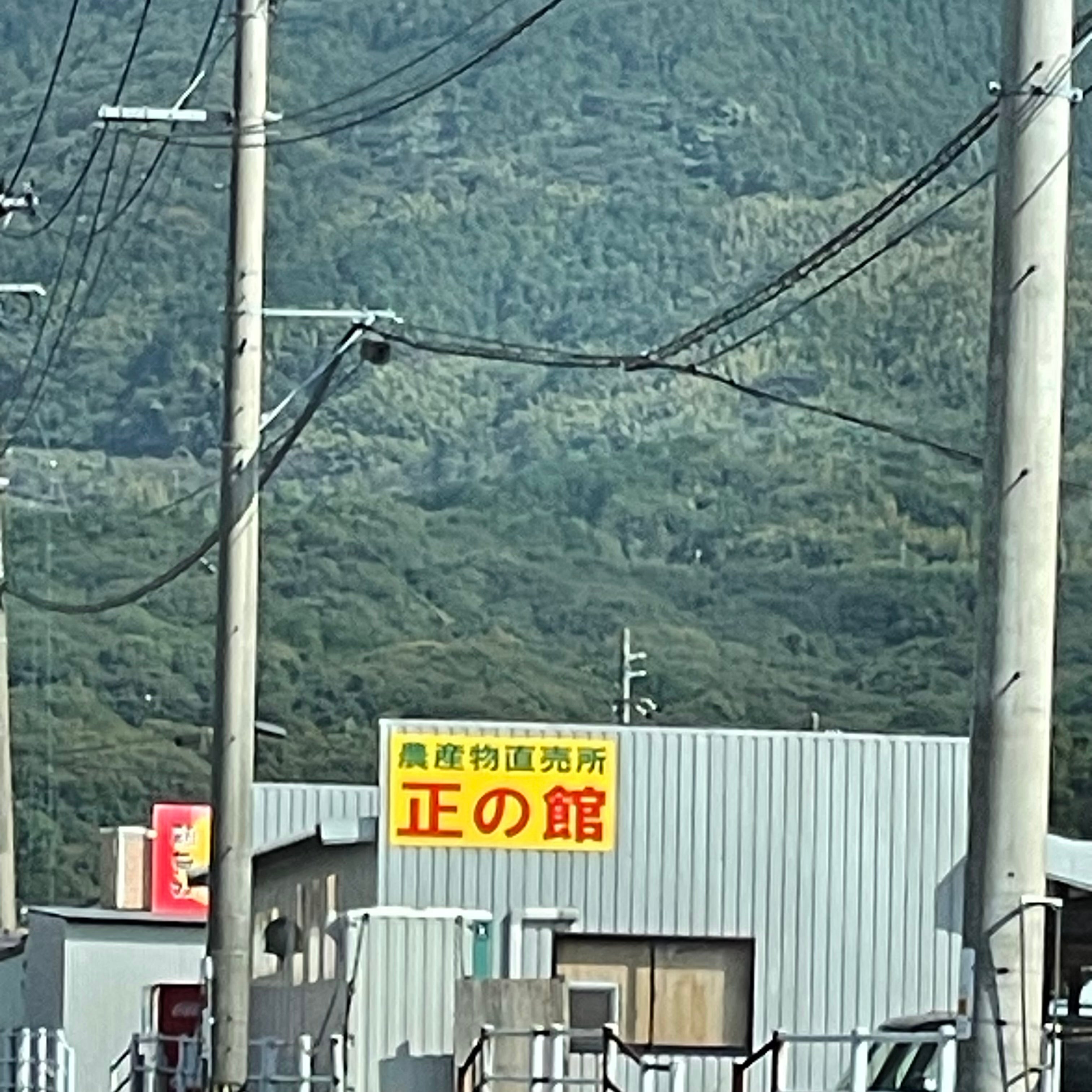 正の館_2枚目