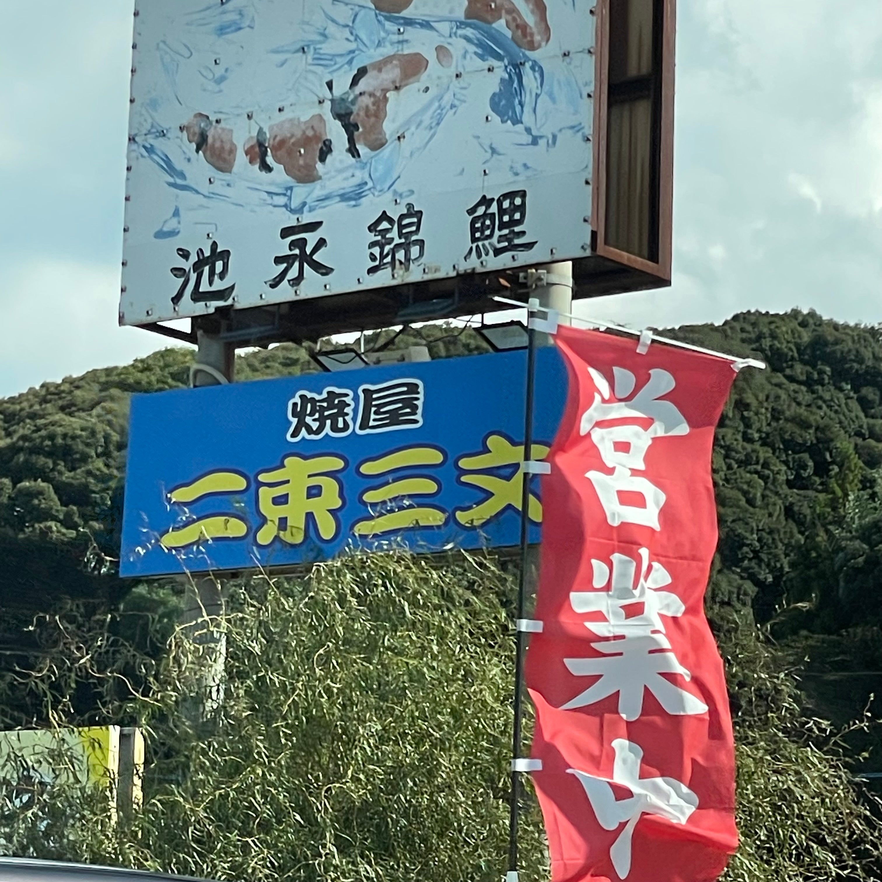 池永錦鯉_2枚目