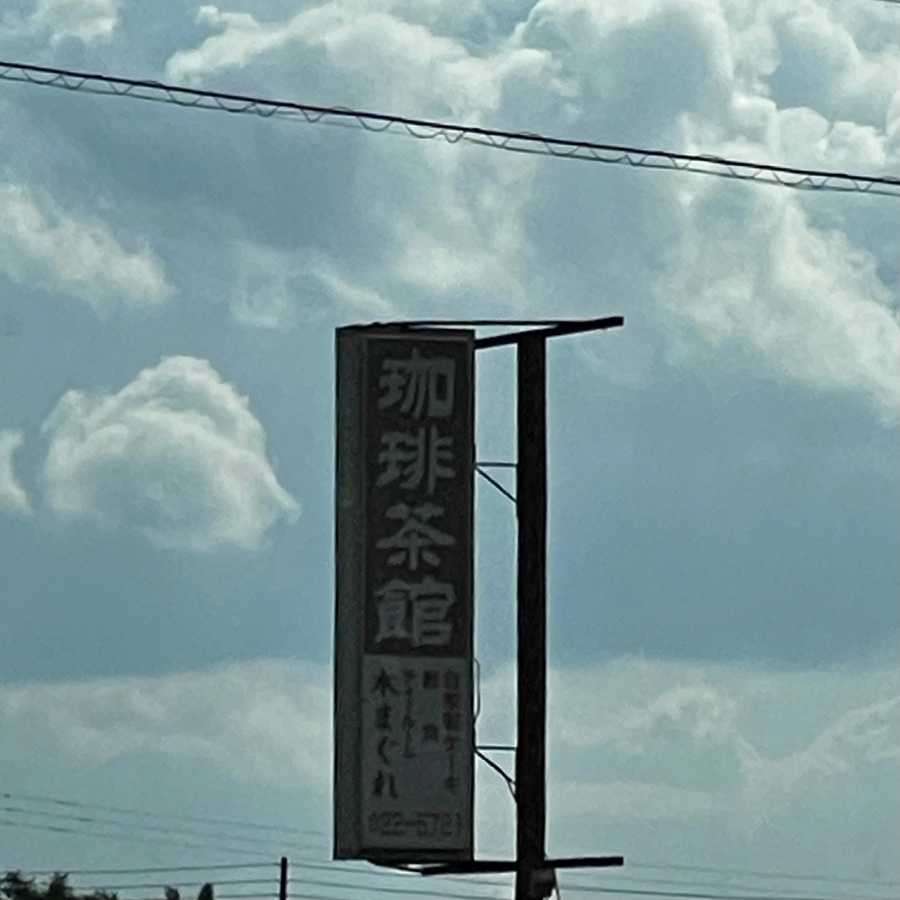 木まぐれ_1枚目