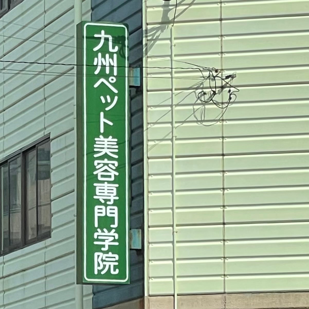 九州ペット美容専門学院