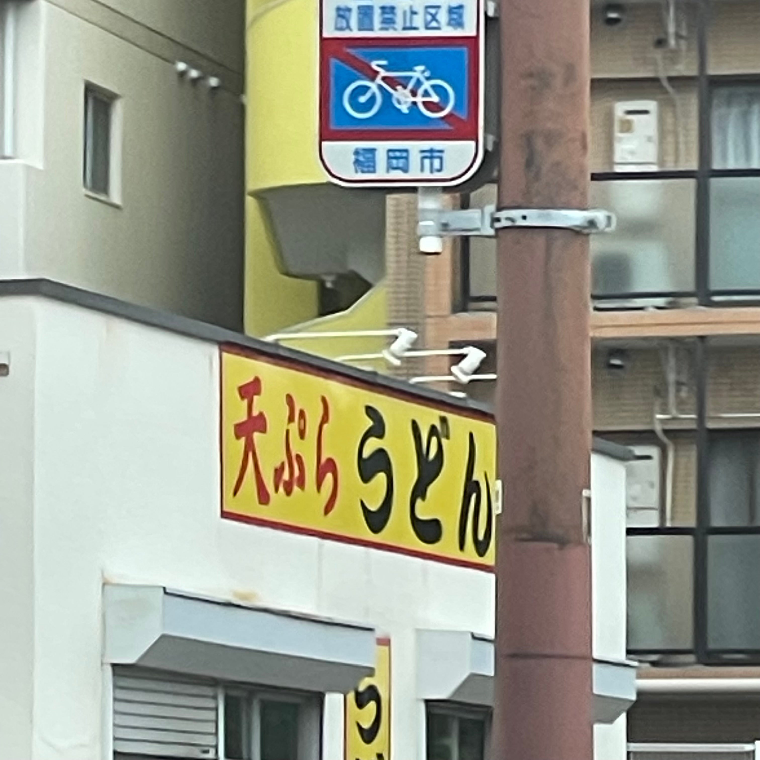 天ぷらうどん_2枚目