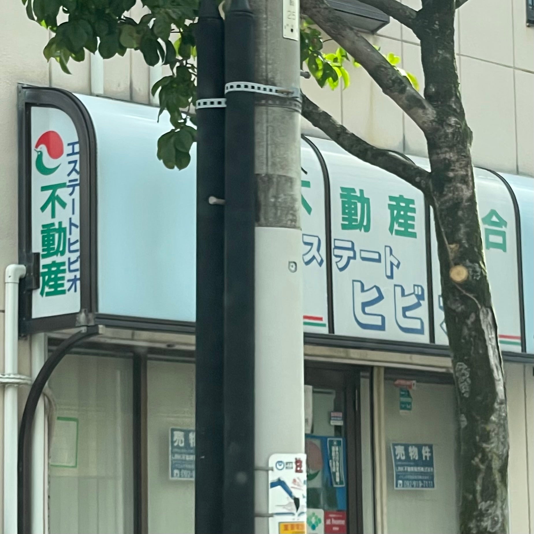 エステートヒビオ_2枚目
