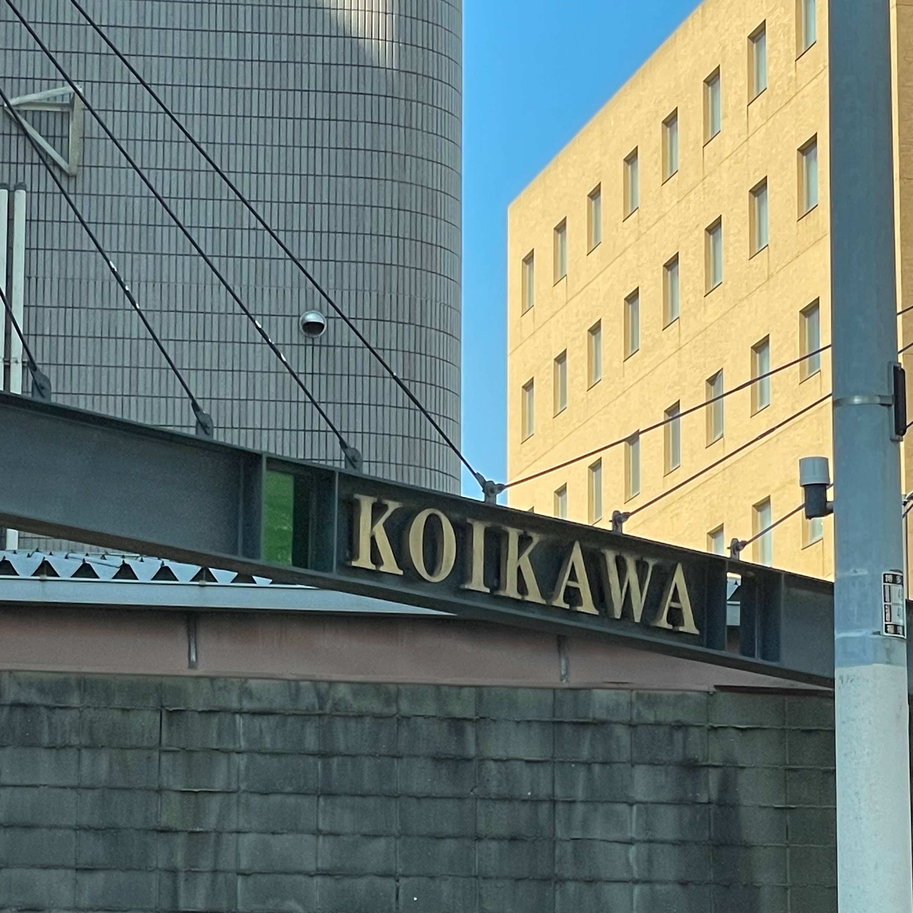 株式会社鯉川商店