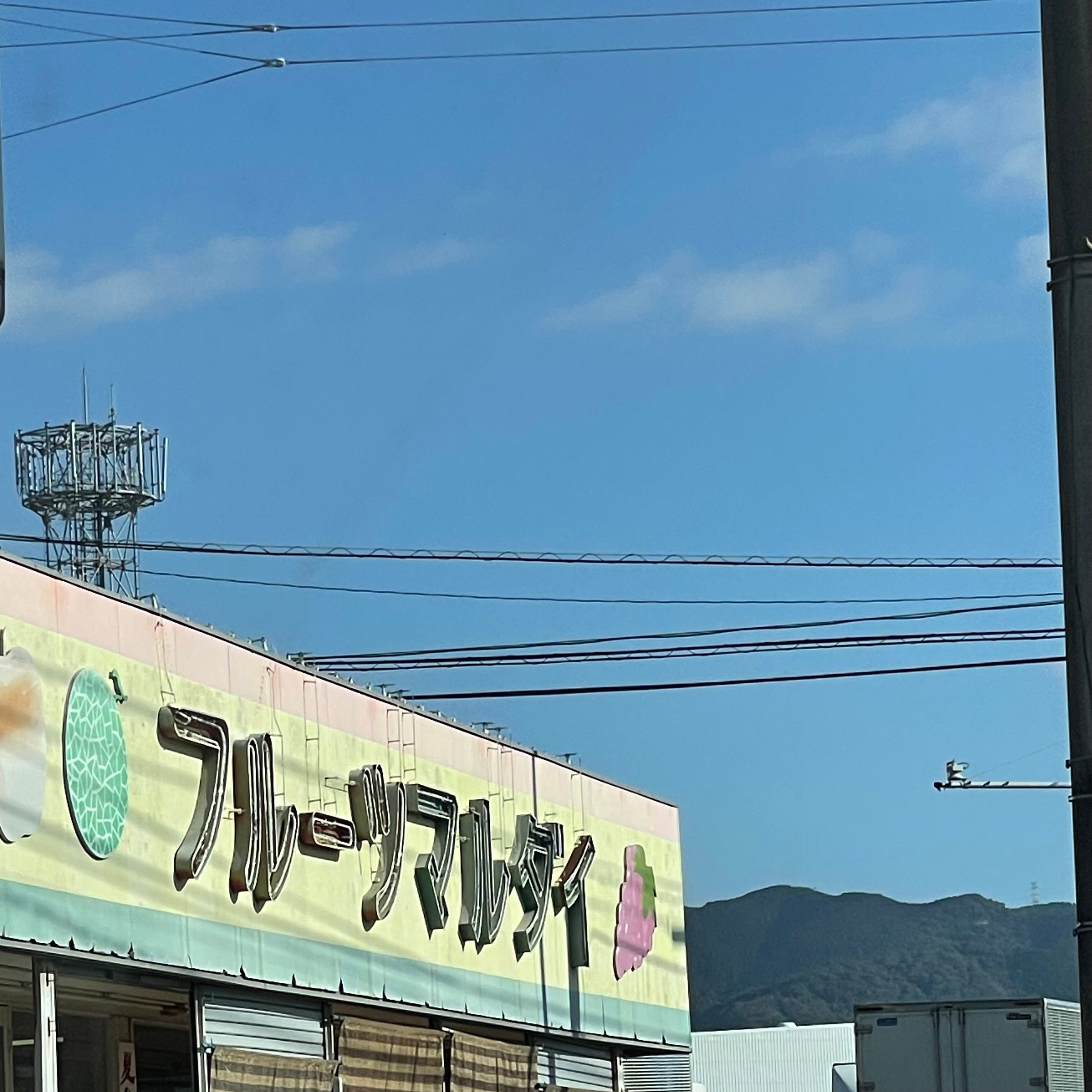 マルダイフルーツ_1枚目