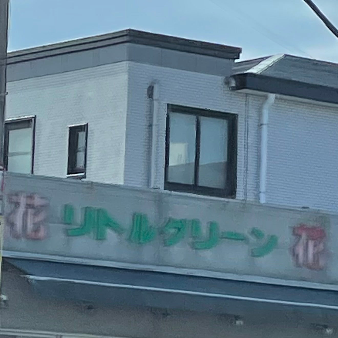 リトルグリーン_2枚目