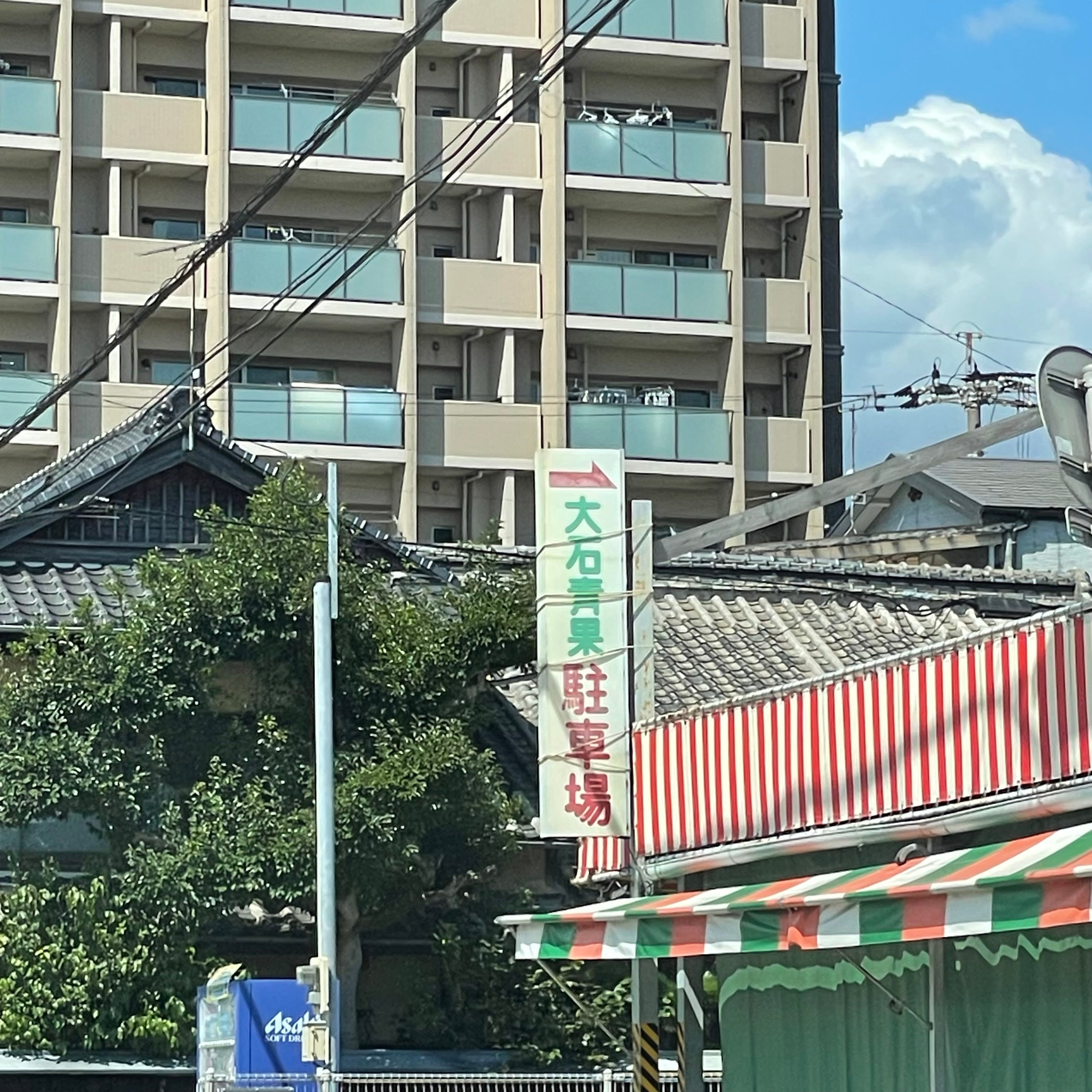大石青果