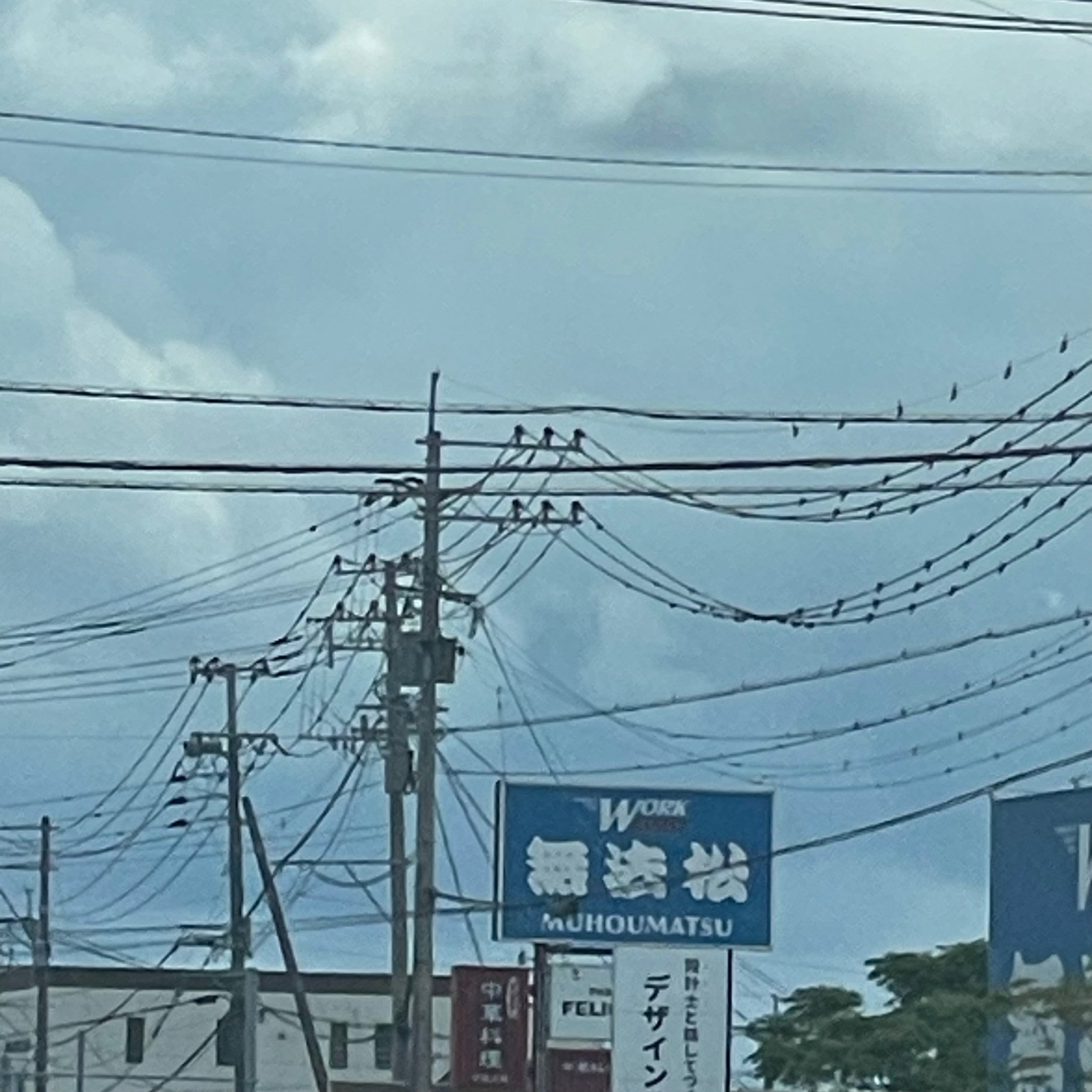 無法松筑紫野店_2枚目