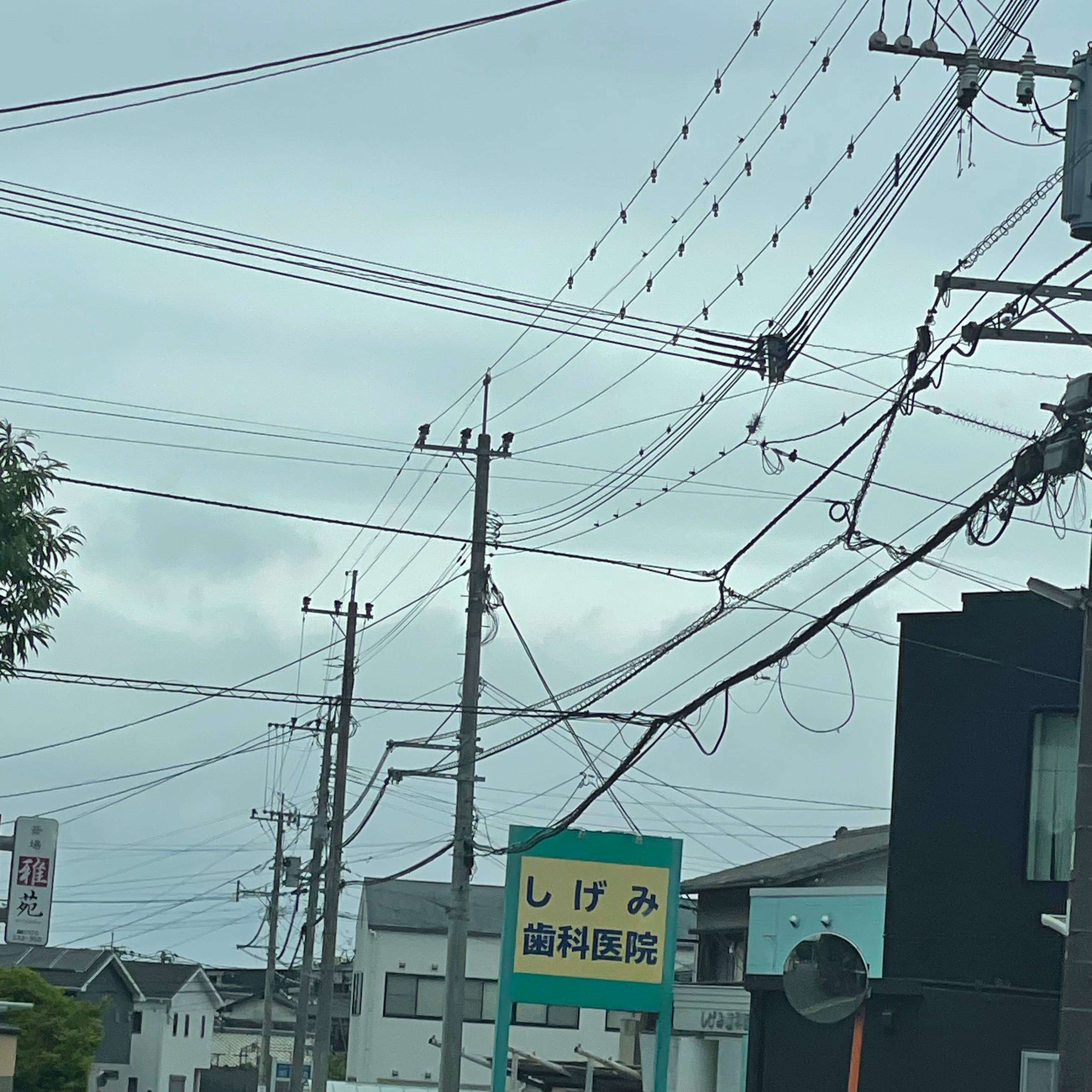 しげみ歯科医院_3枚目
