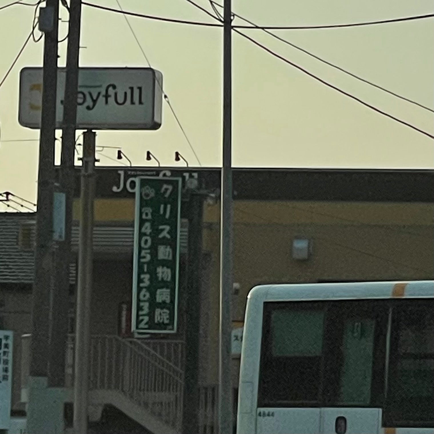 クリス動物病院_3枚目