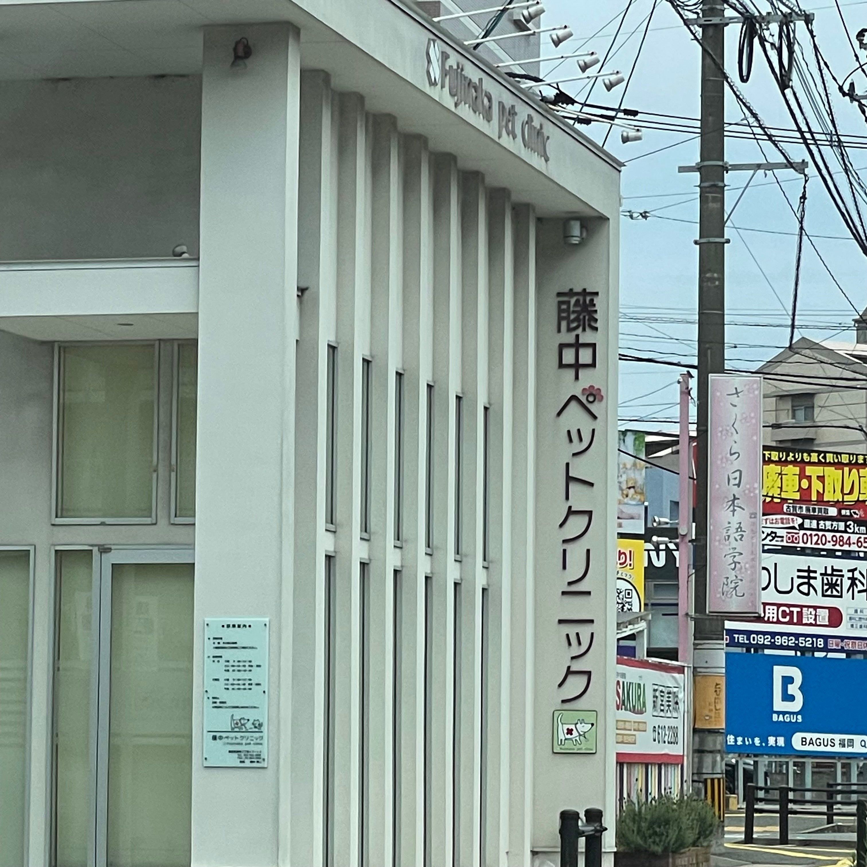 藤中ペットクリニック_2枚目