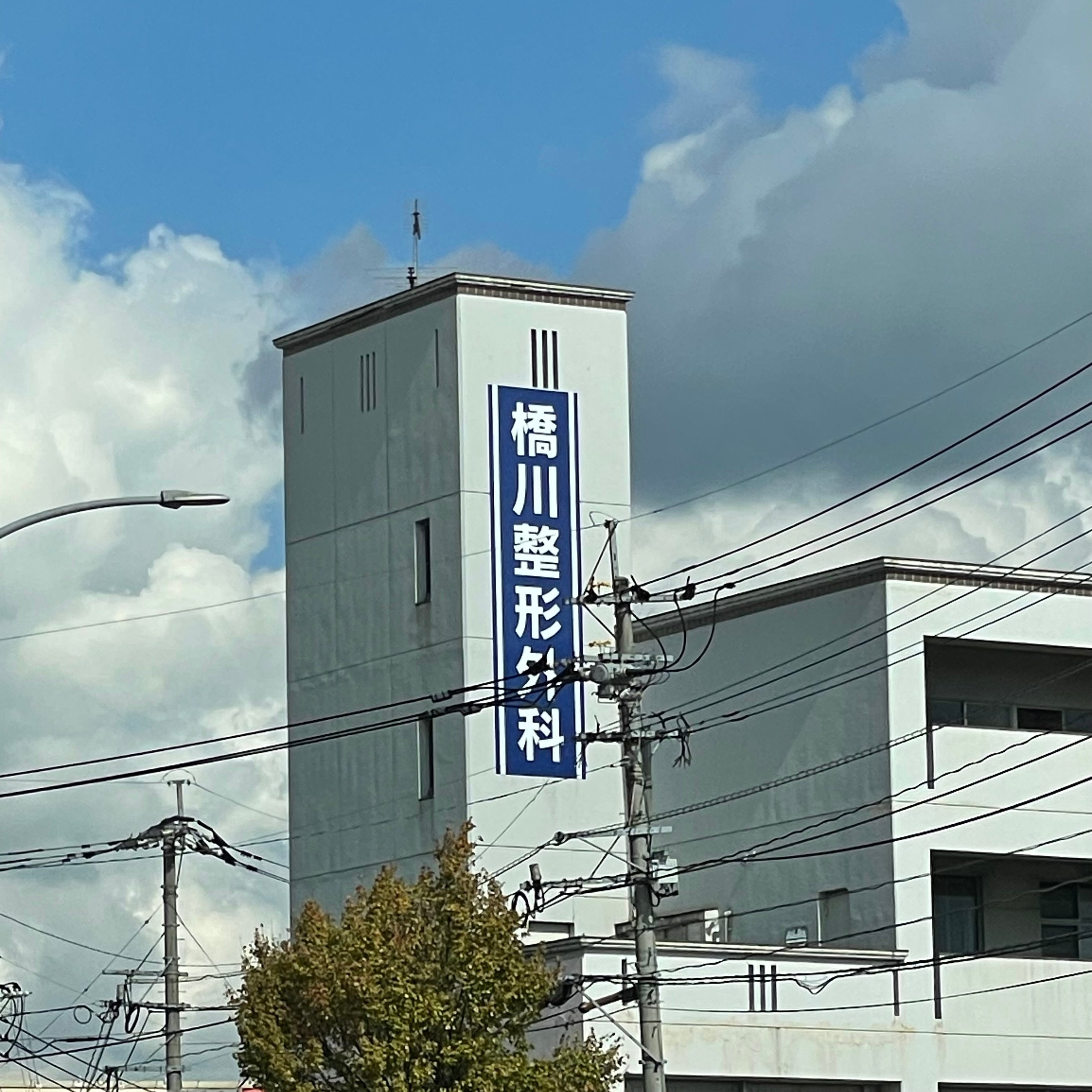 橋川整形外科医院_2枚目