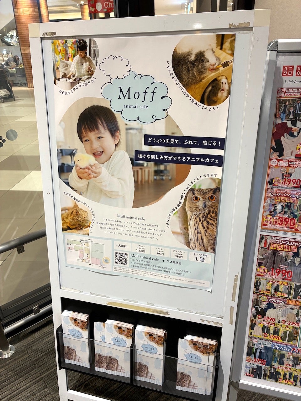 ＭＯＦＦアニマルカフェ・イーアス　高尾店_2枚目