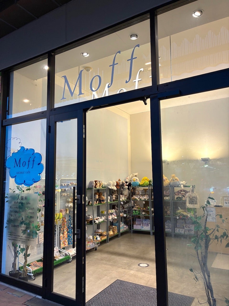ＭＯＦＦアニマルカフェ・イーアス　高尾店_3枚目