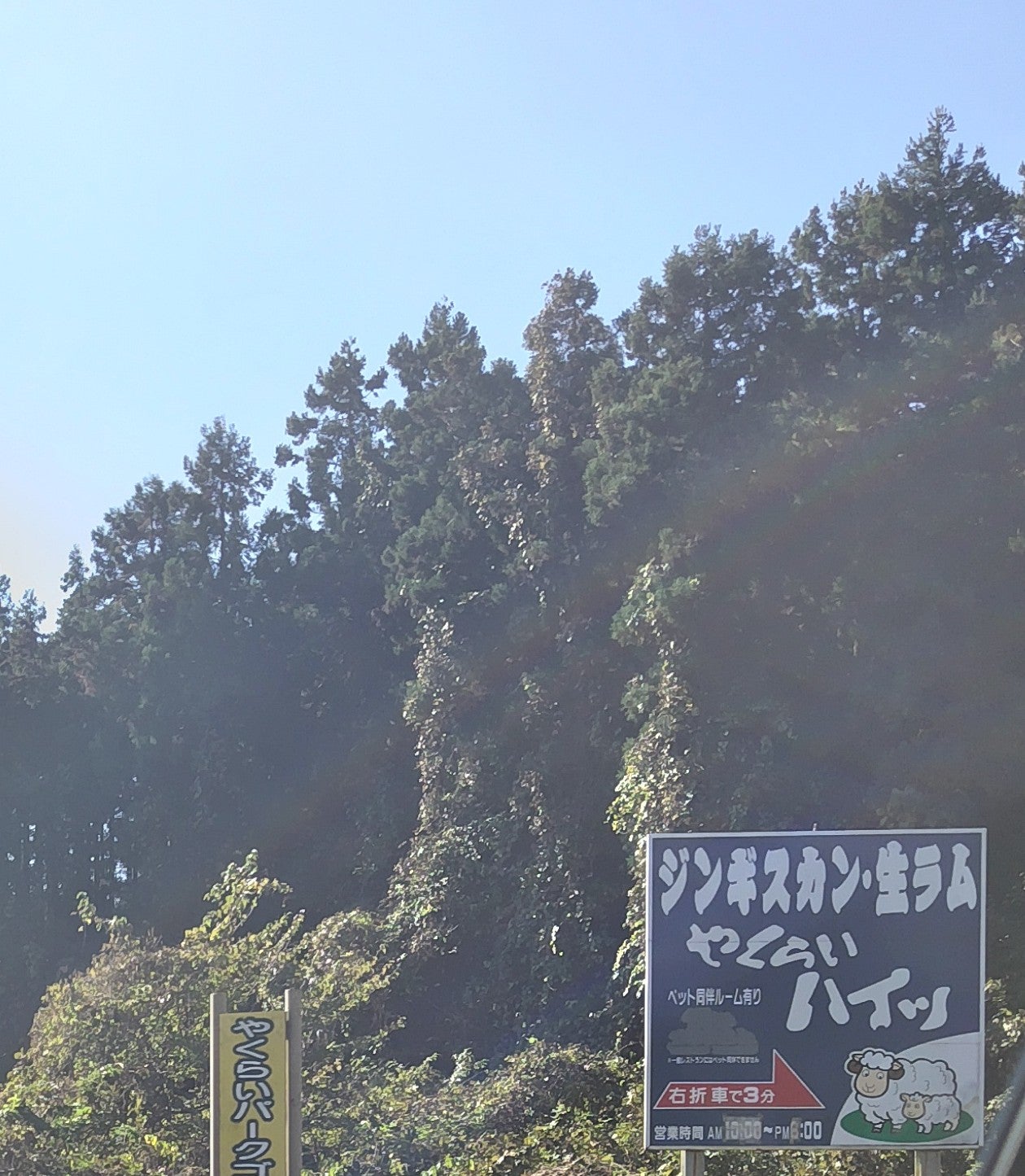 やくらいハイツ