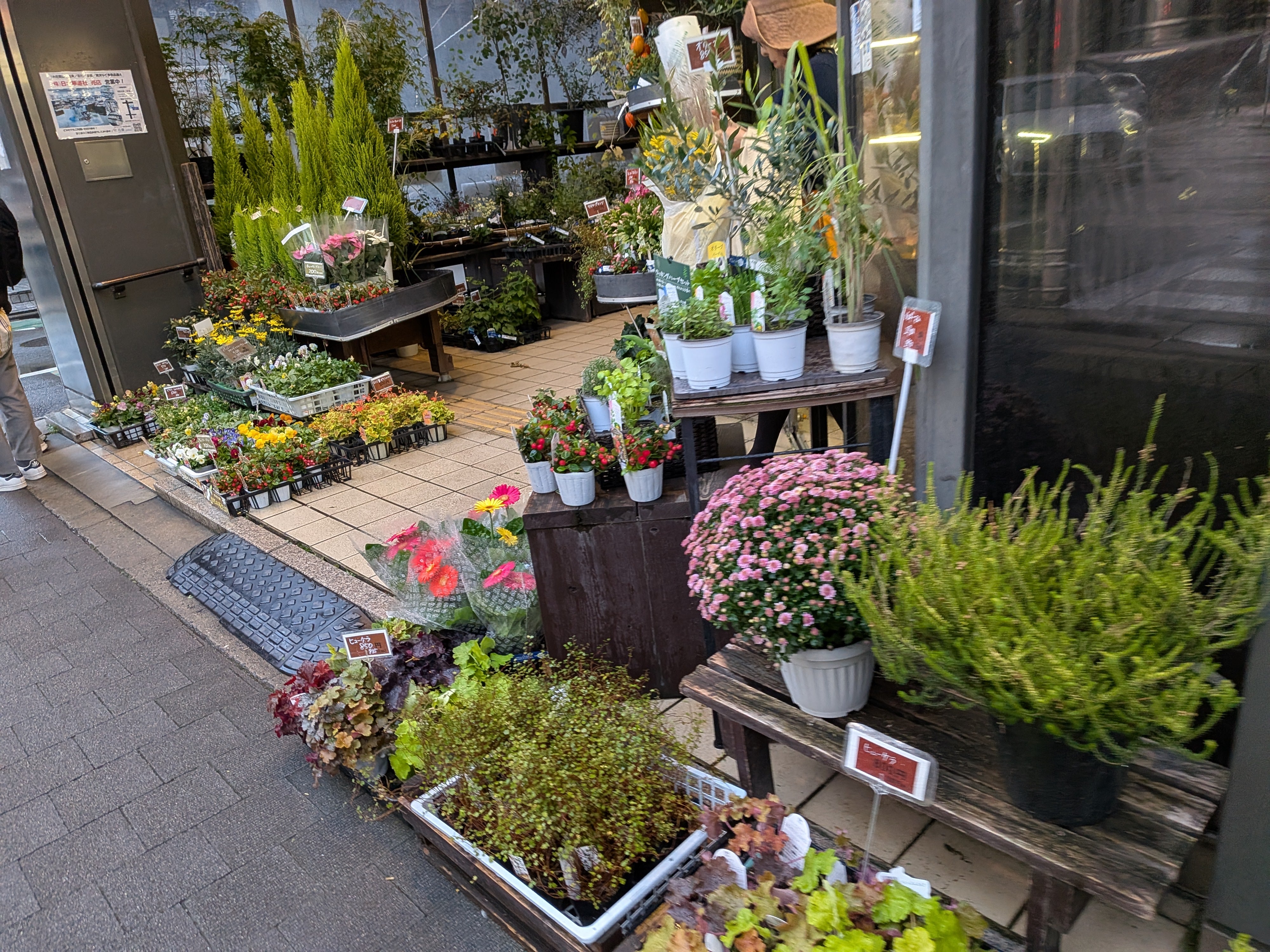 花市商店_3枚目