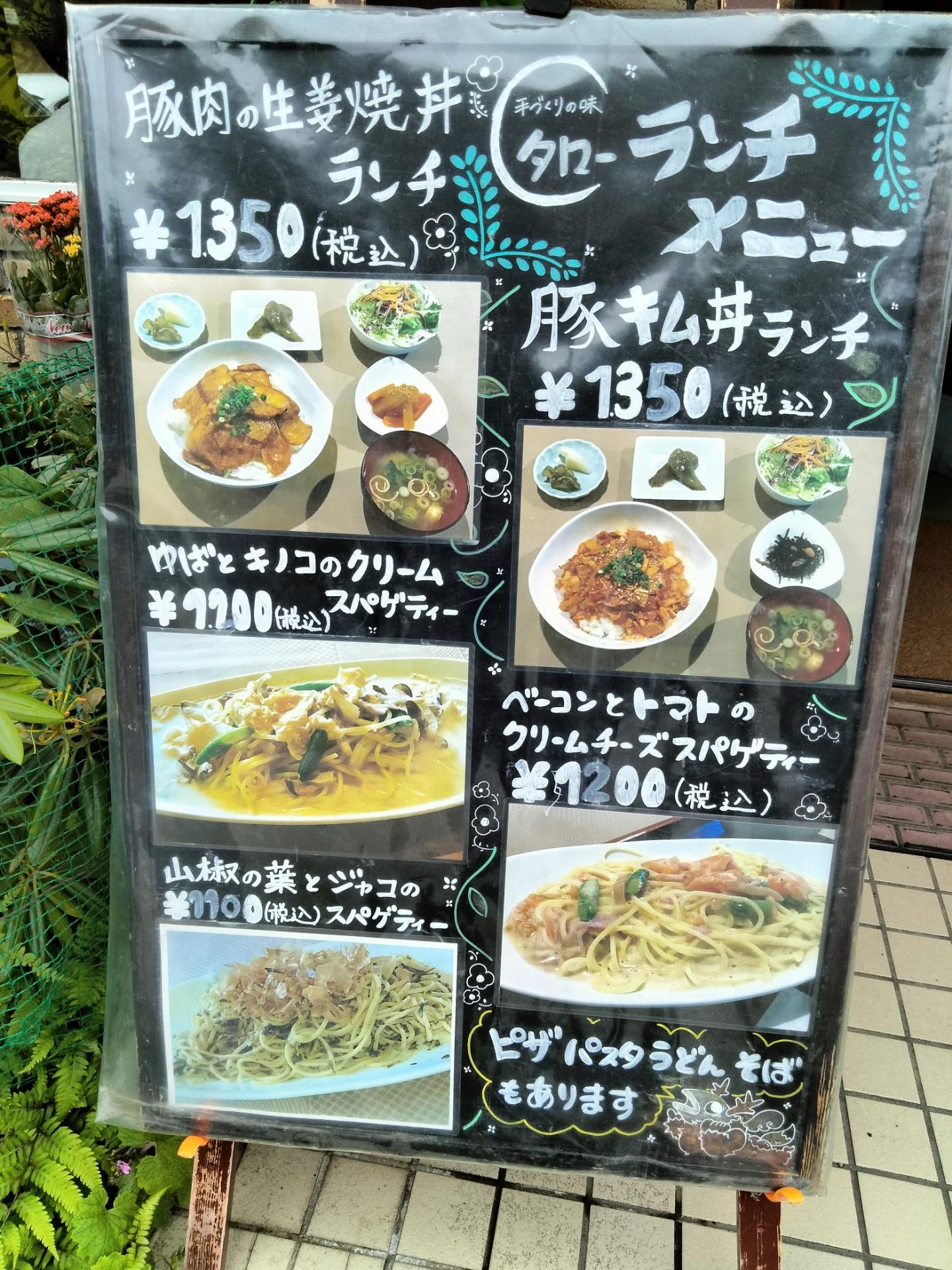 タロー_2枚目