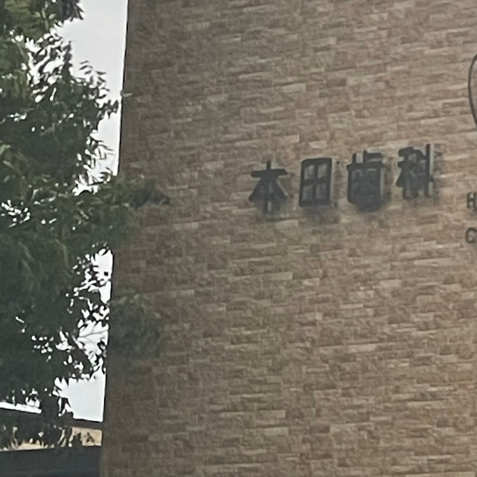 本田歯科医院_3枚目