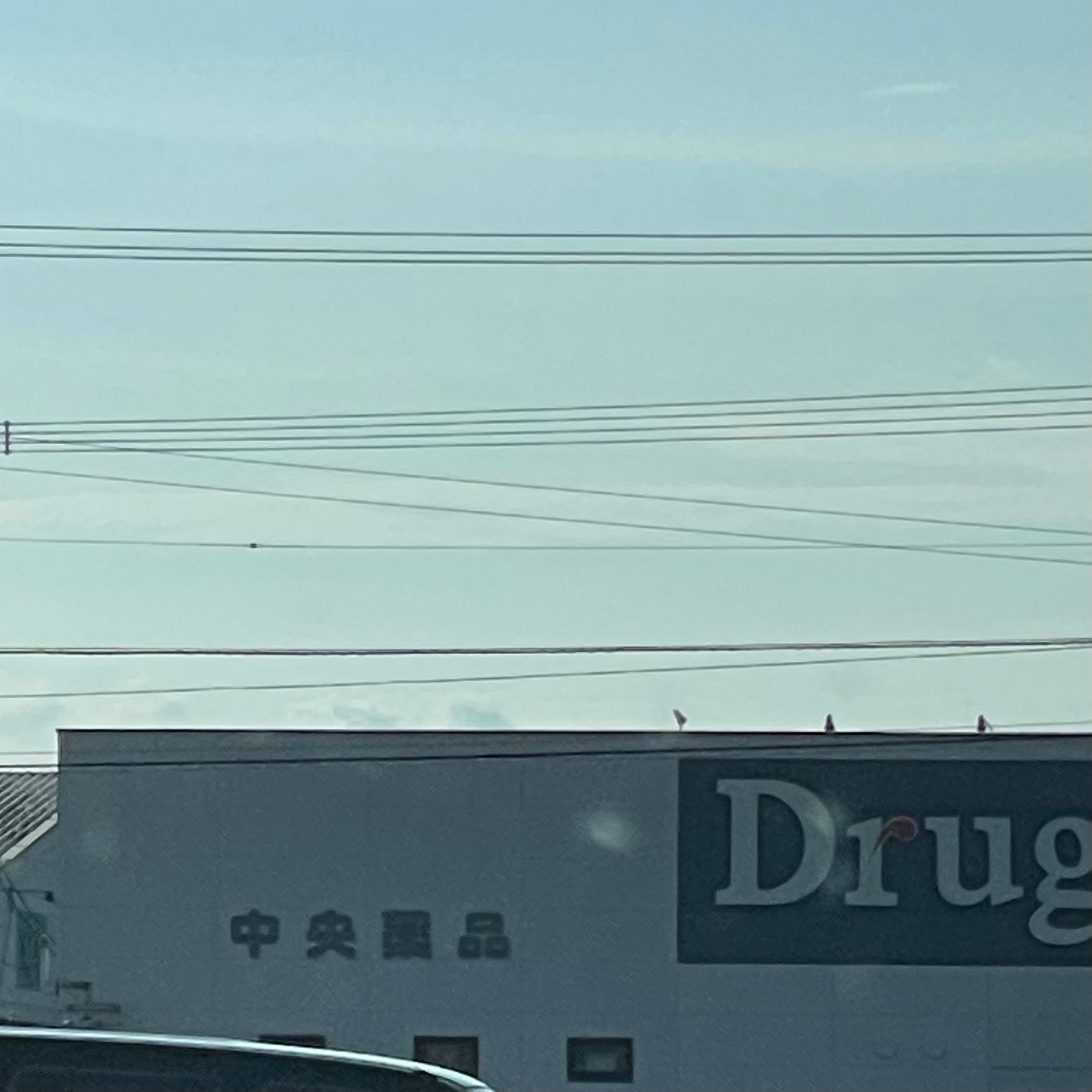 中央薬品有明支店_1枚目