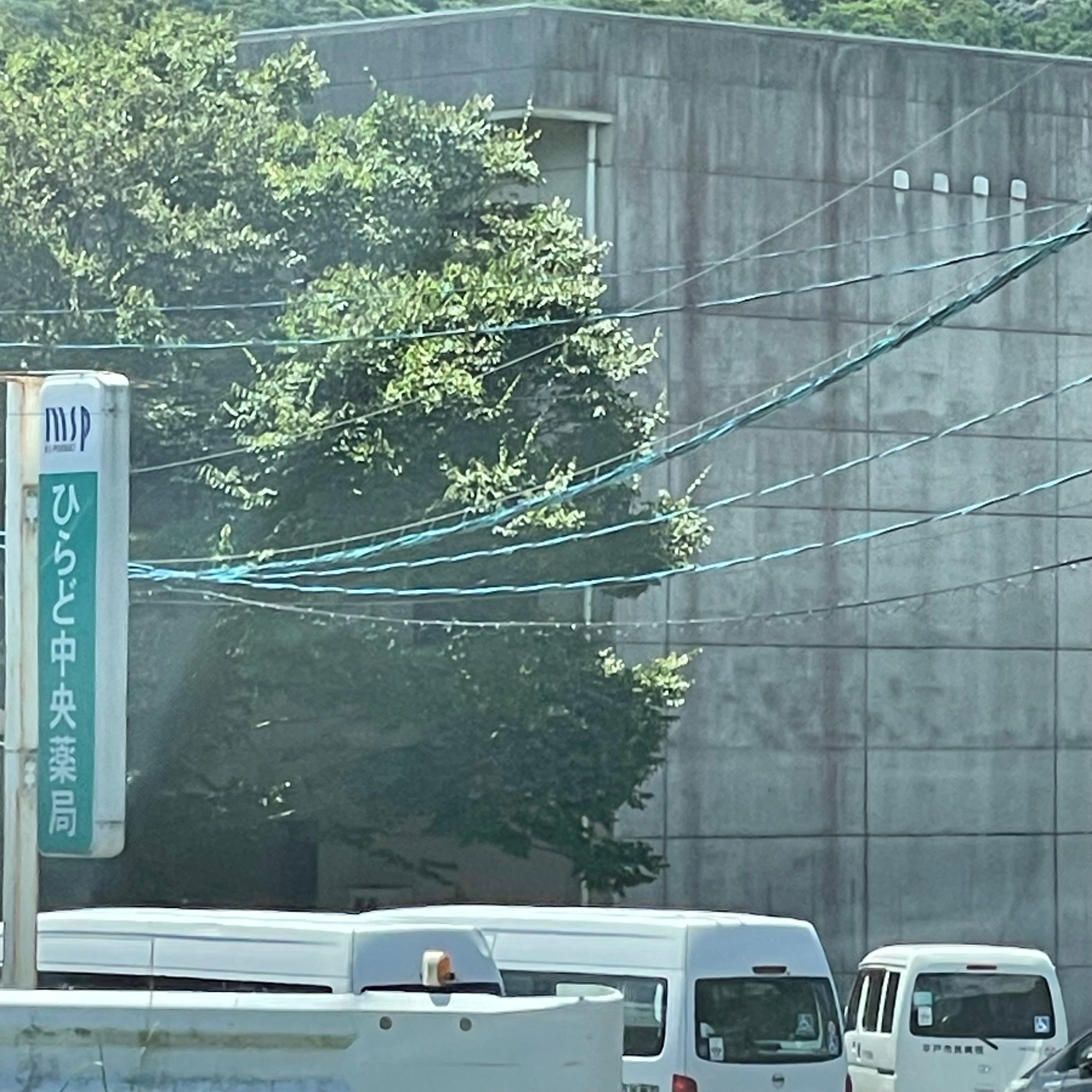 ひらど中央薬局_2枚目