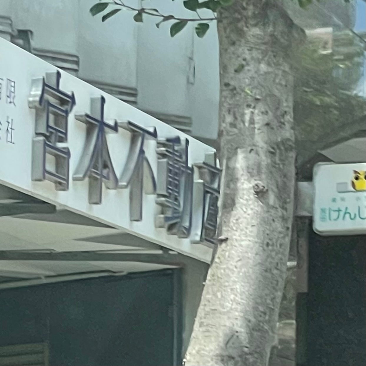 有限会社宮本不動産