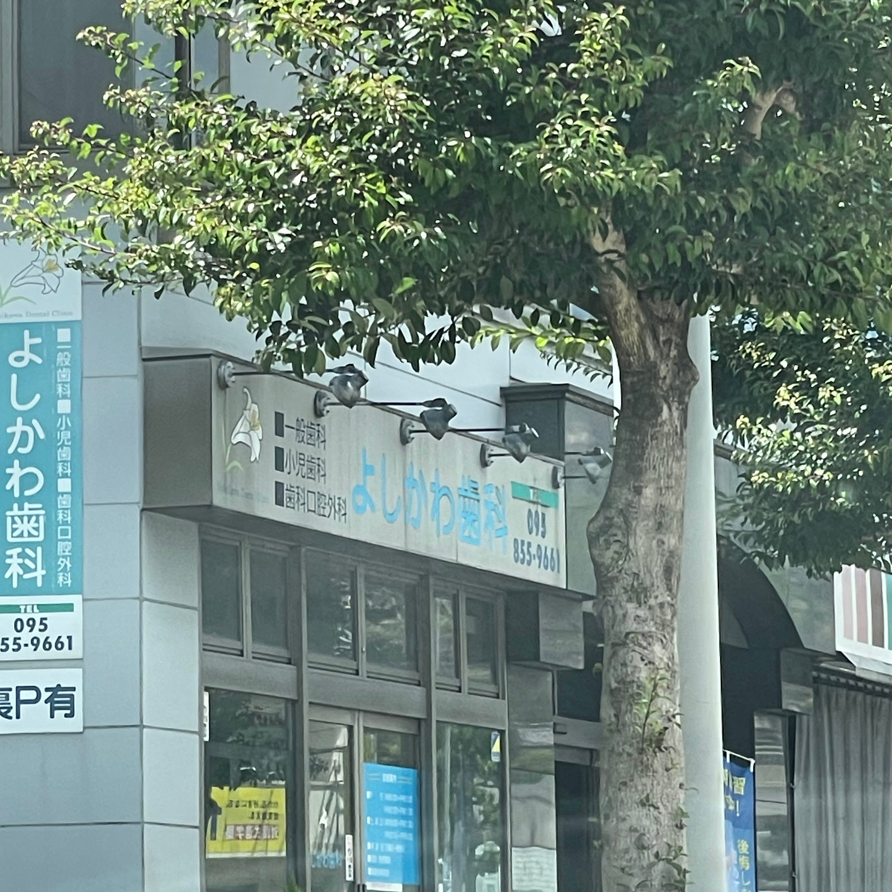 よしかわ歯科