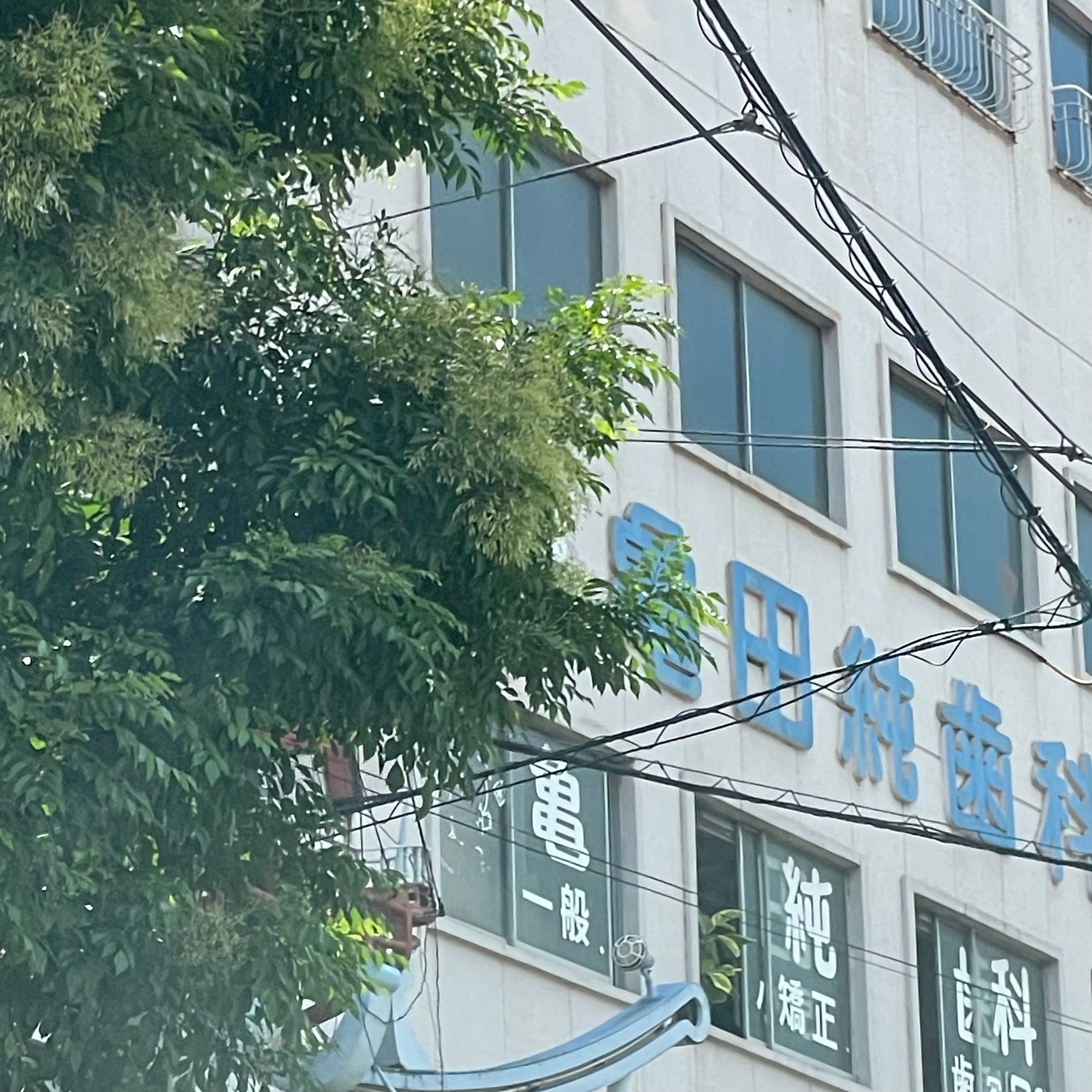 医療法人亀田純歯科医院_2枚目