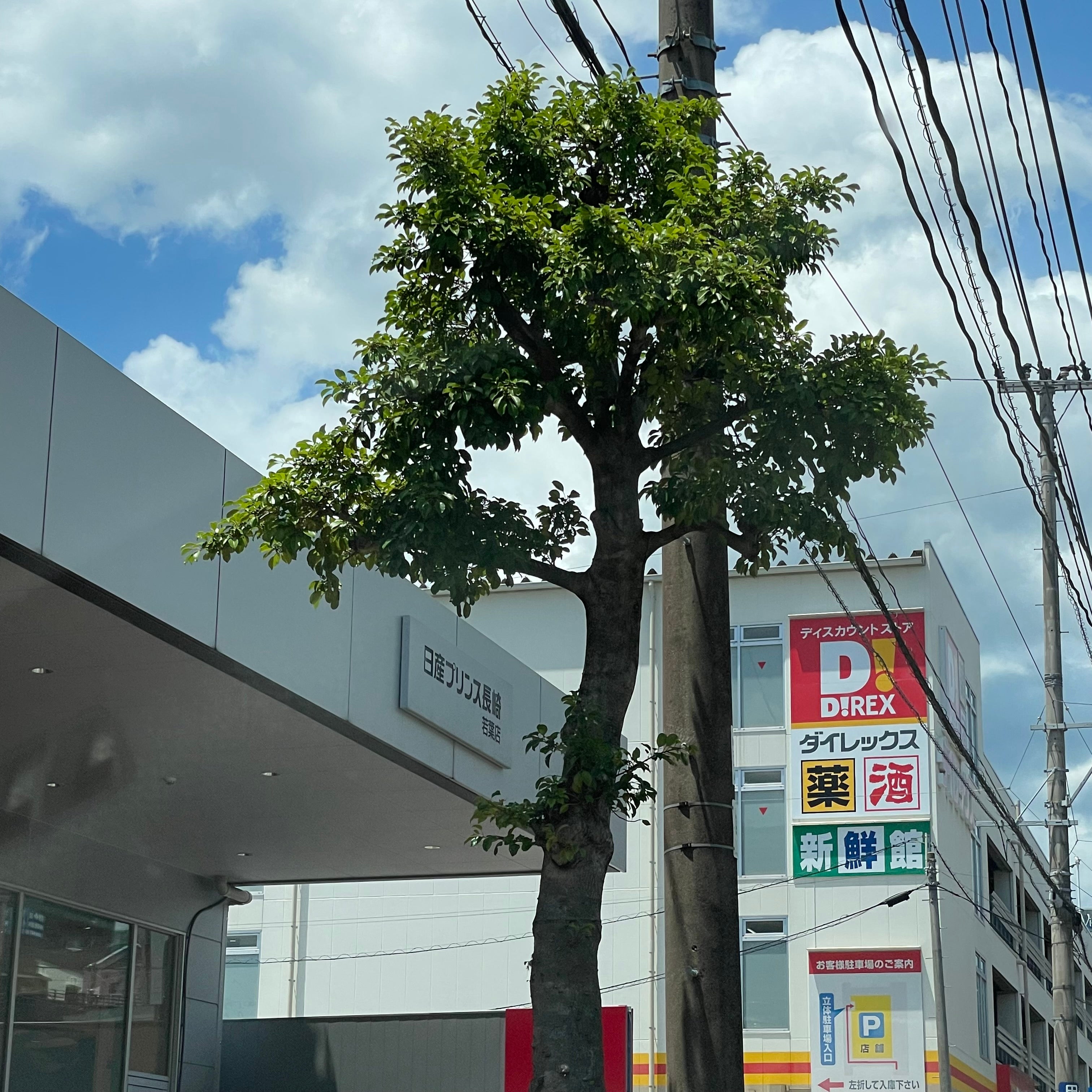 日産プリンス長崎販売株式会社　若葉店_2枚目