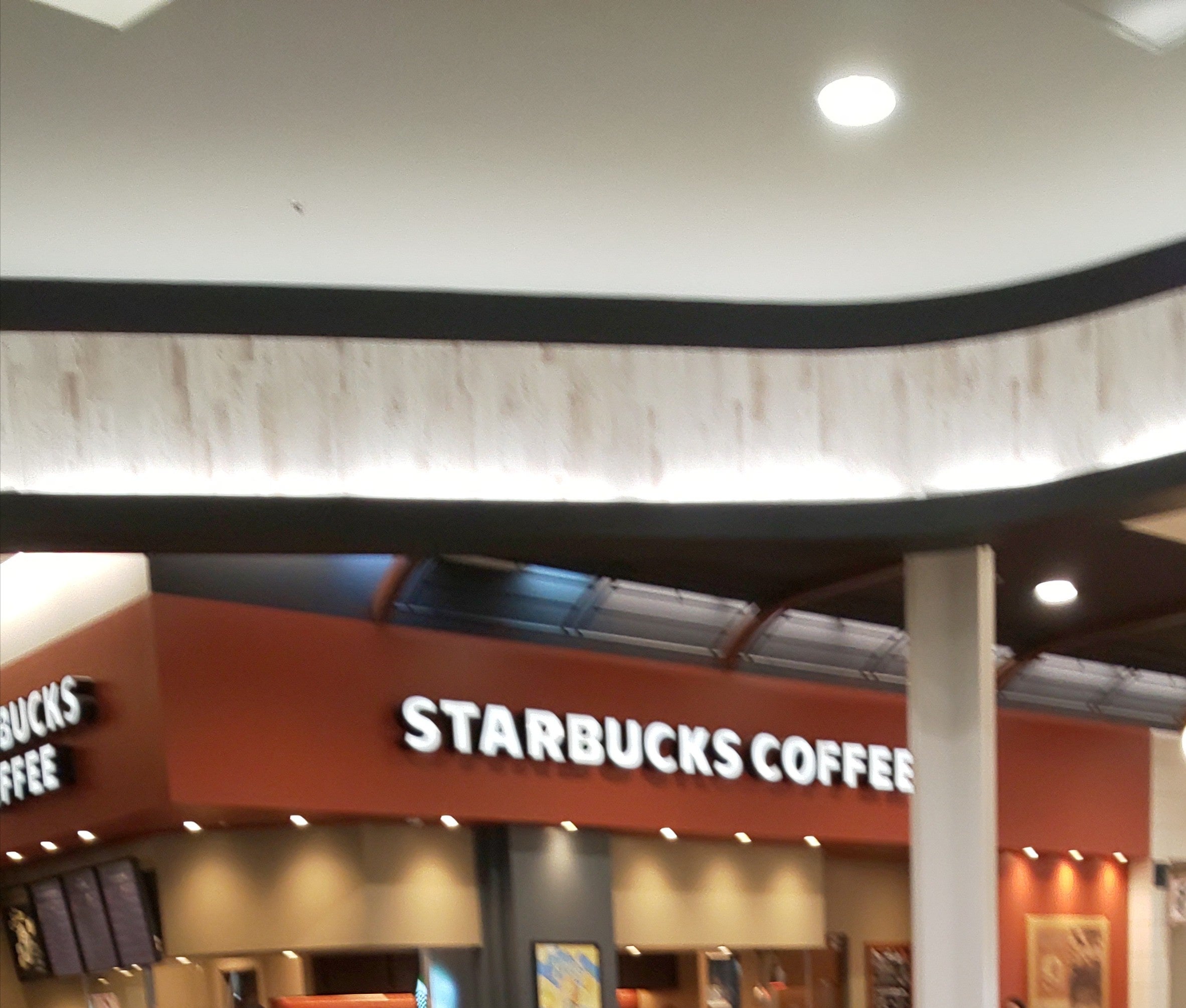 スターバックスコーヒー_1枚目