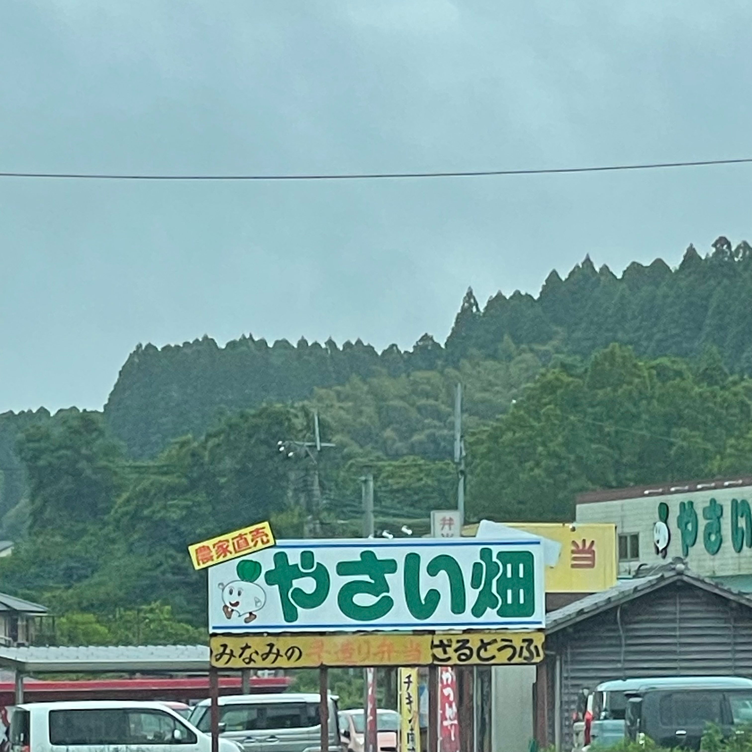 やさい畑_1枚目
