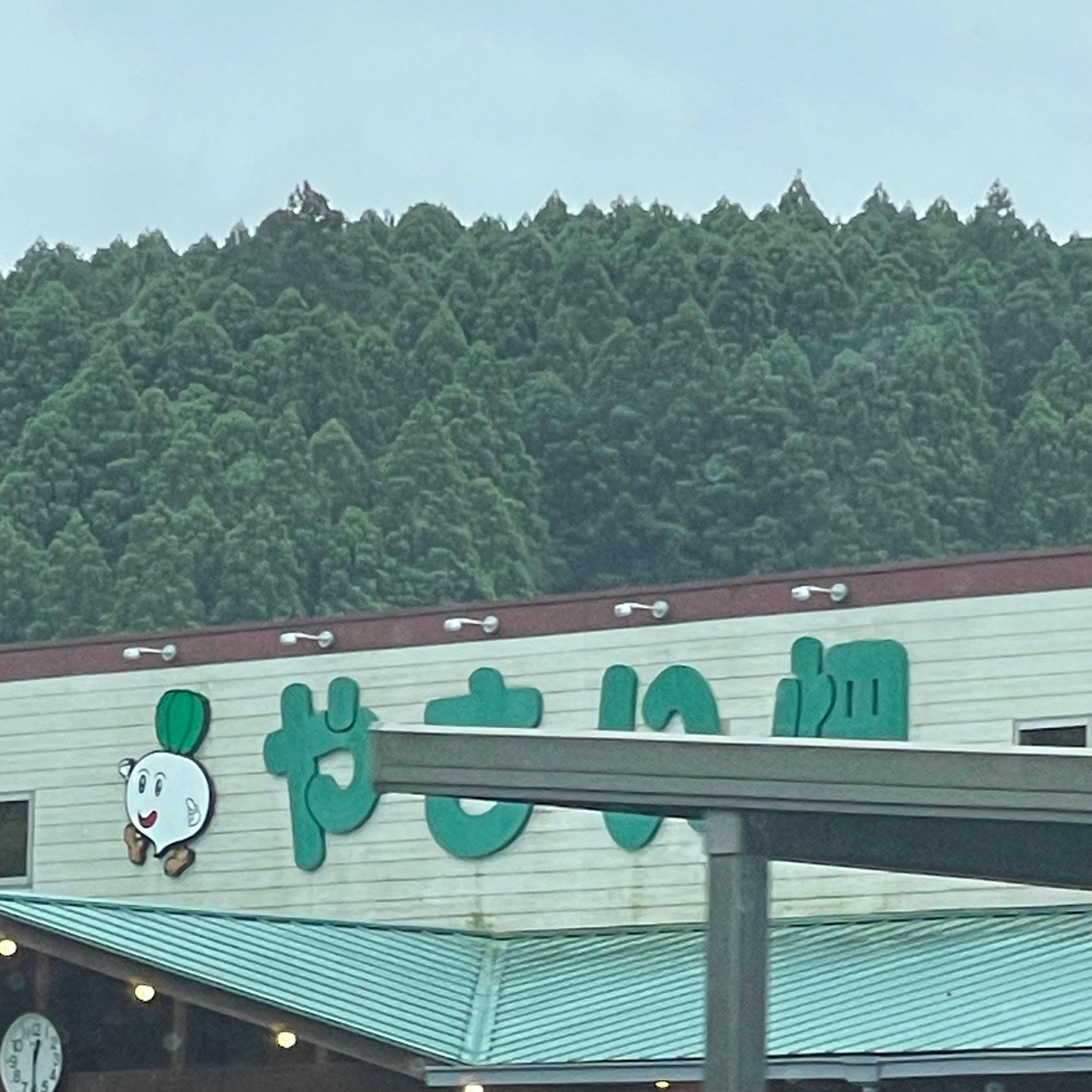 やさい畑_3枚目