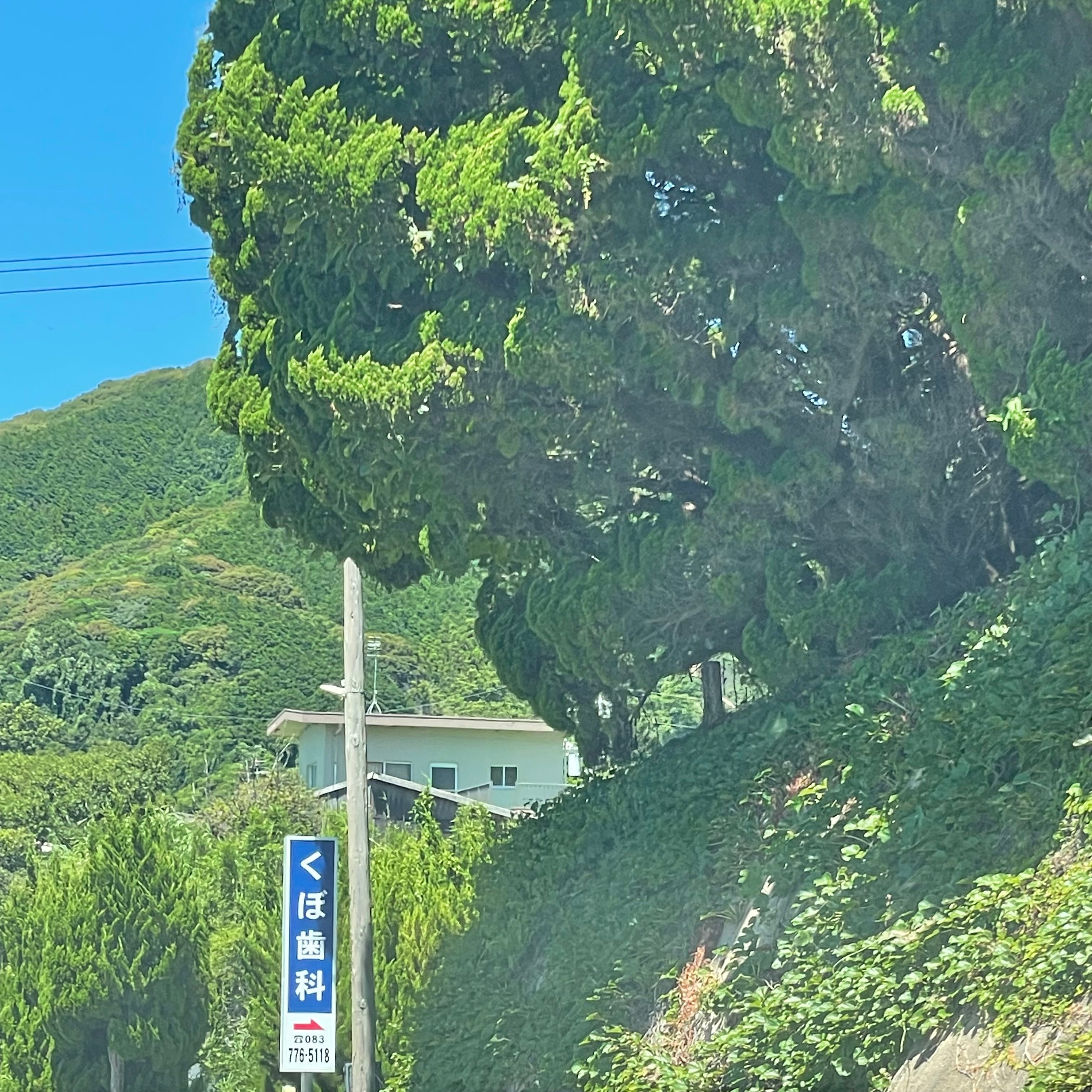 くぼ歯科_3枚目