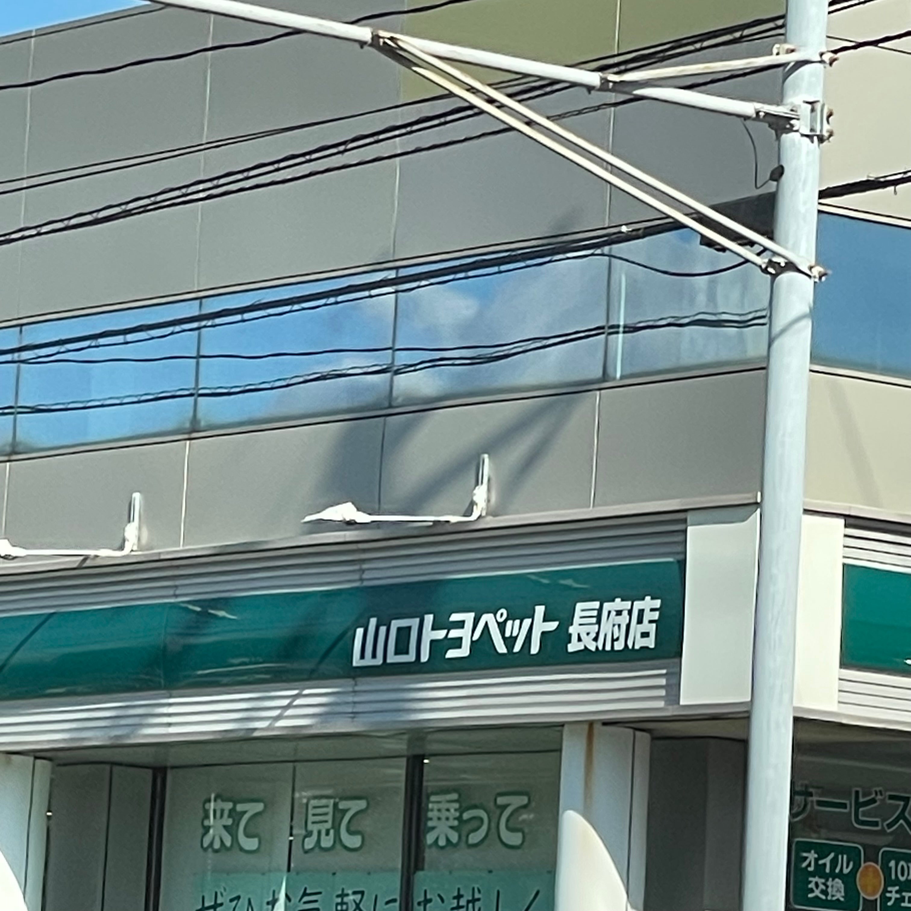 山口トヨペット株式会社　長府店_3枚目