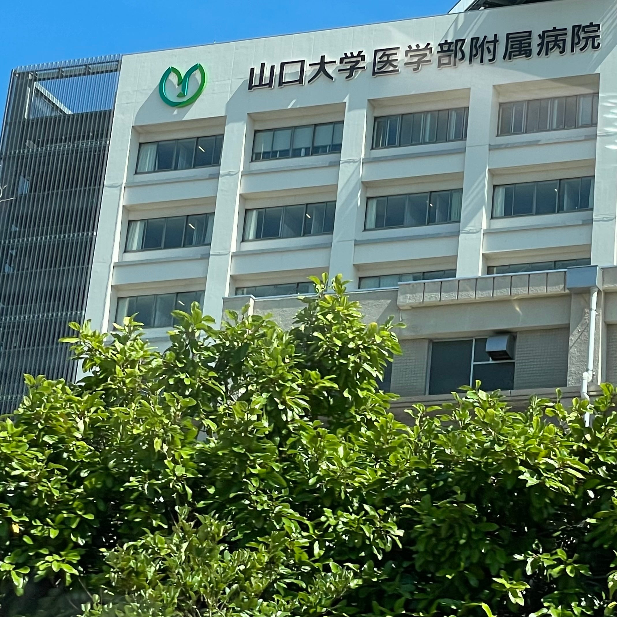 山口大学附属病院_3枚目