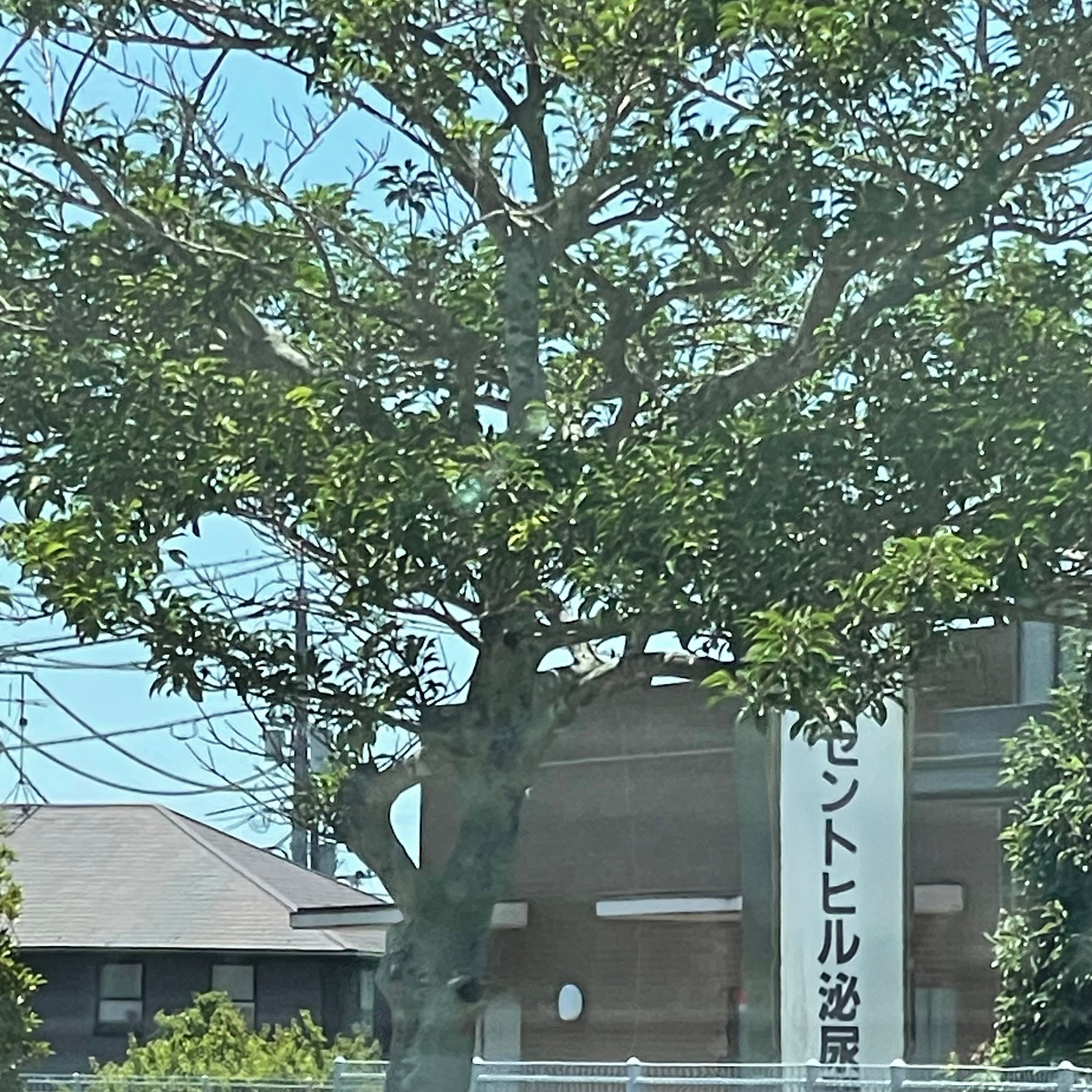 厚狭セントヒル泌尿器科_2枚目