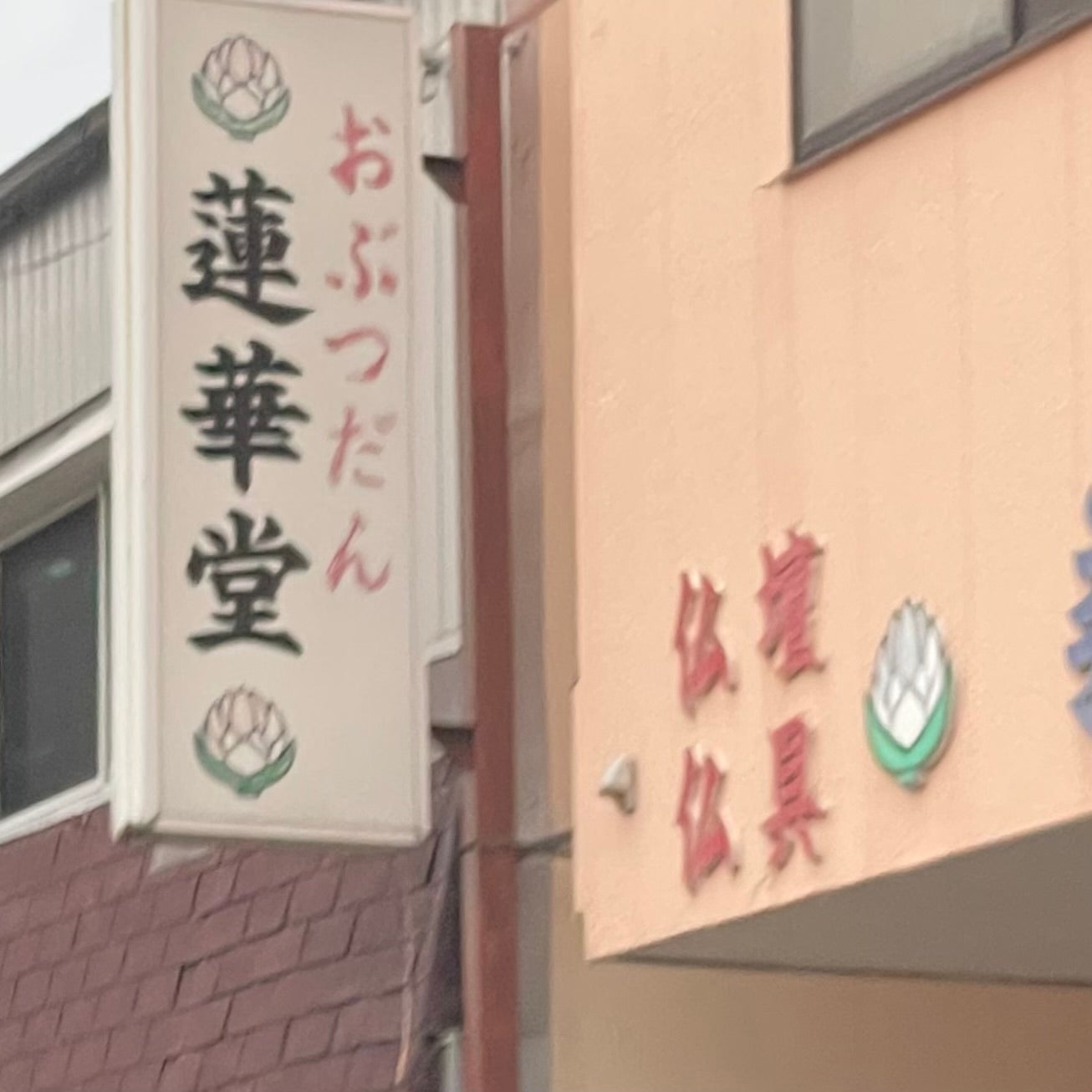蓮華堂_1枚目