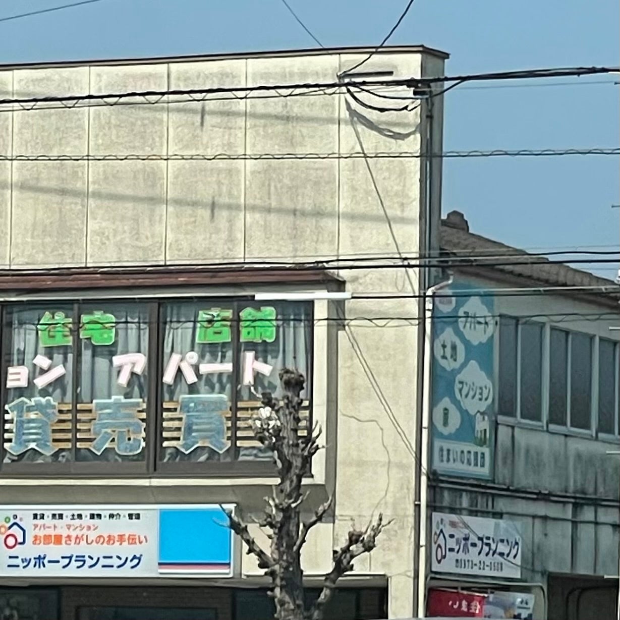 株式会社ニッポープランニング_3枚目