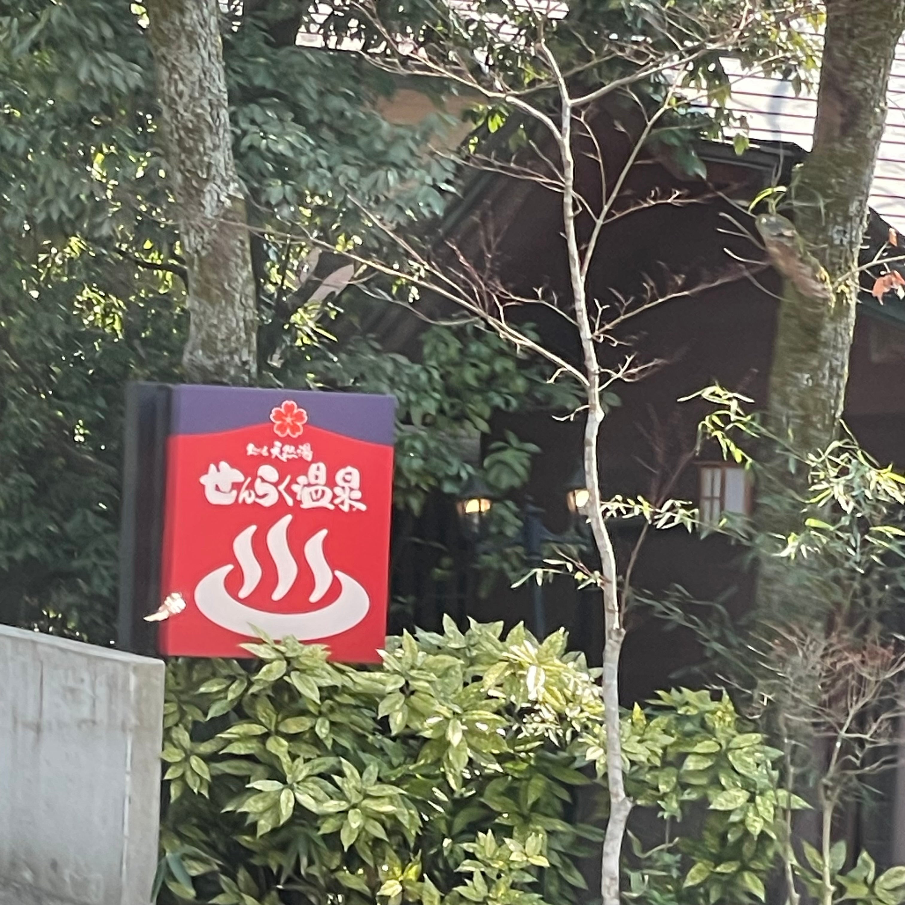 せんらく温泉_3枚目