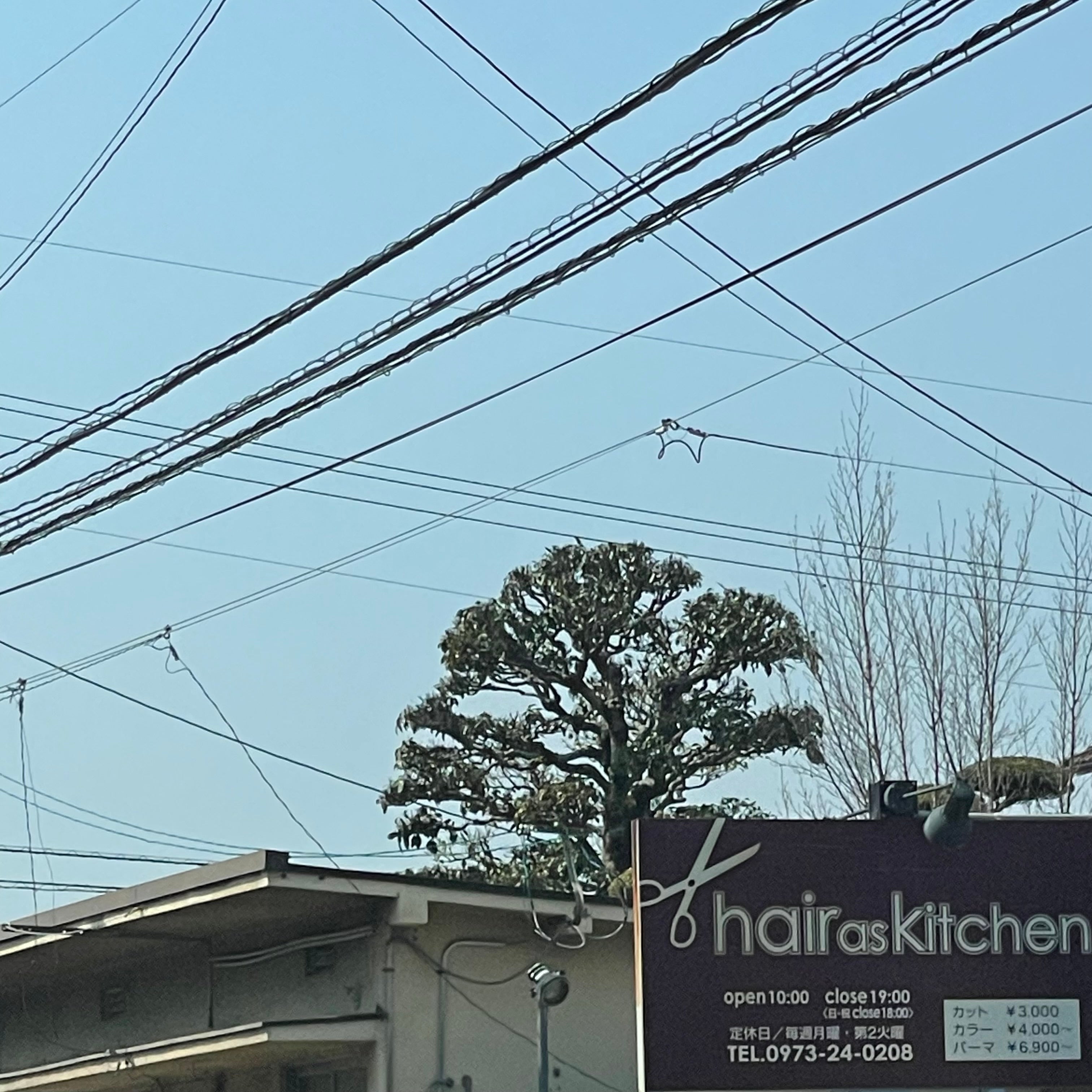 ヘアーアズキッチン_3枚目