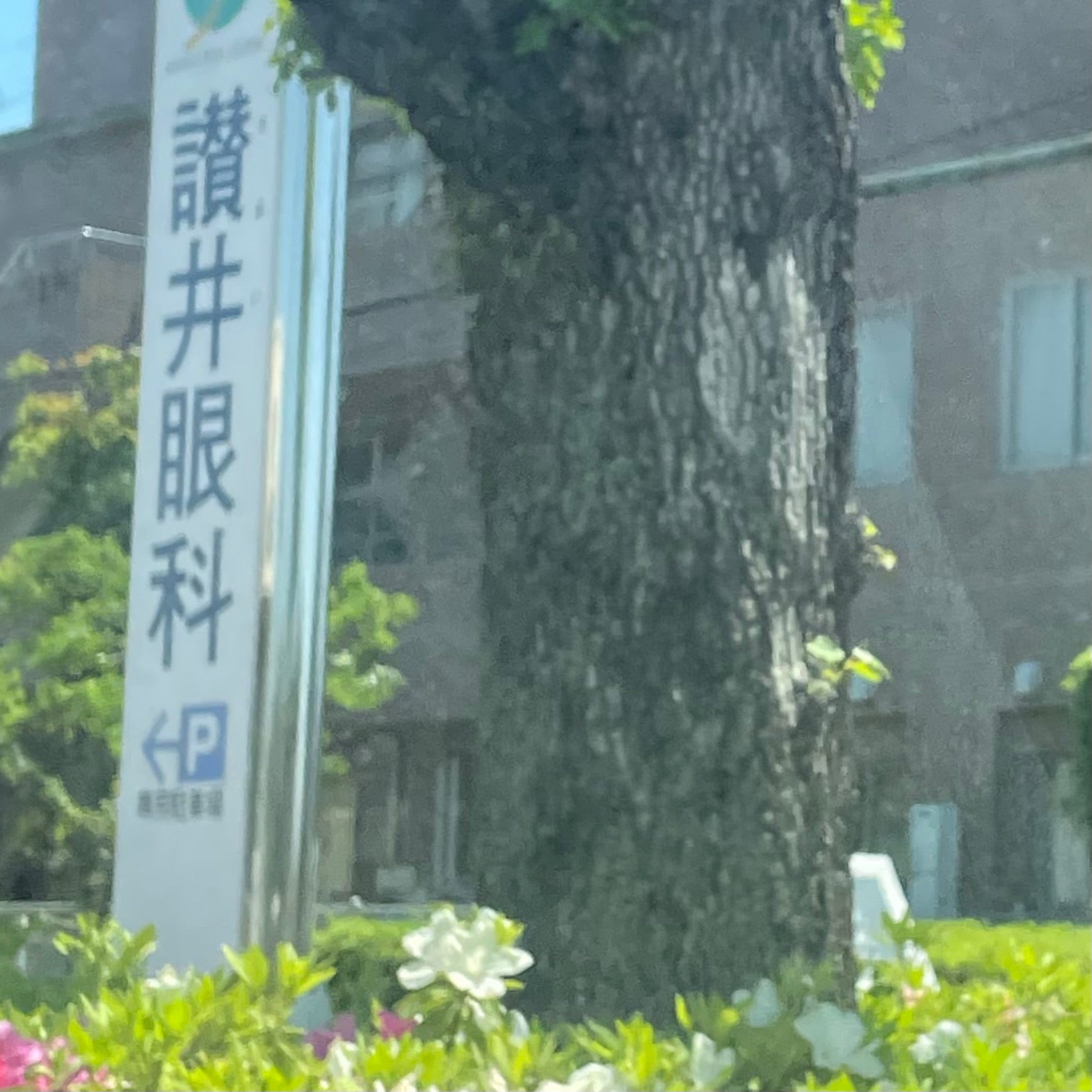 讃井眼科