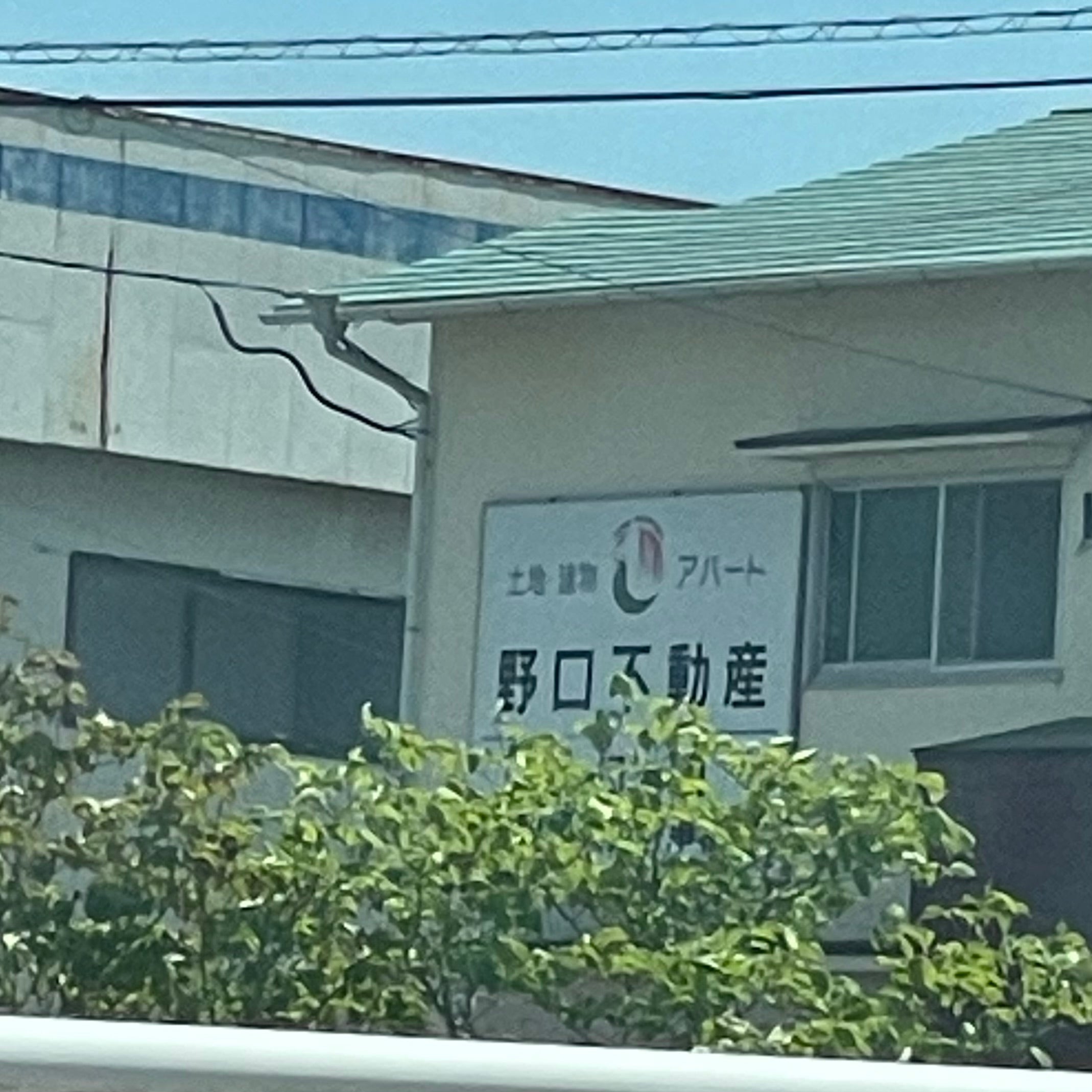 野口不動産