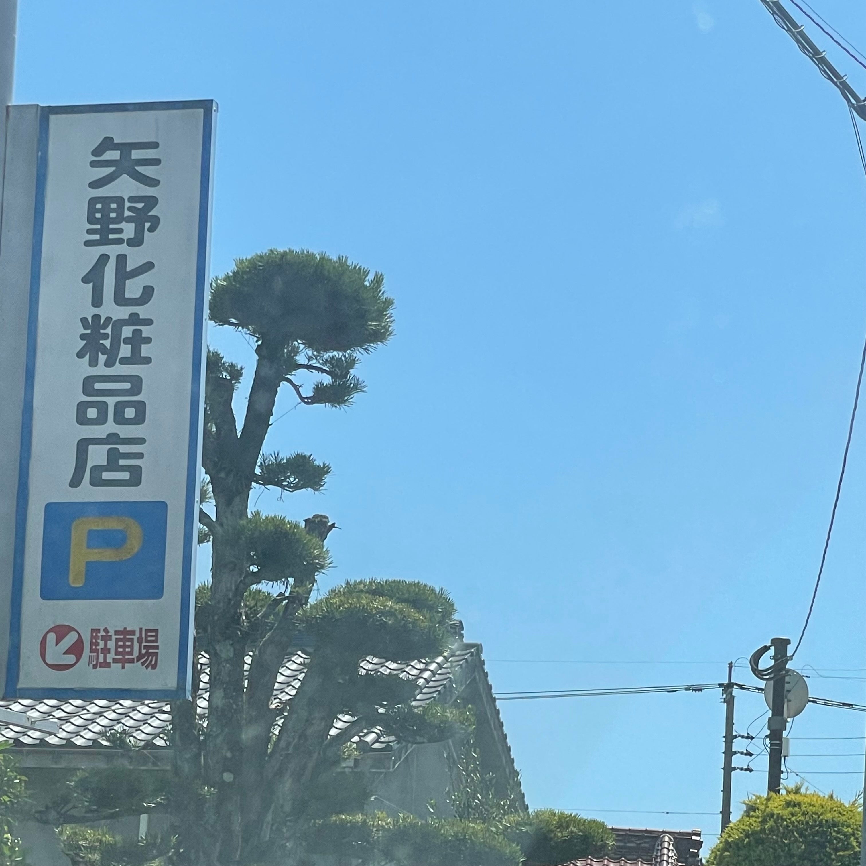 矢野化粧品本店_1枚目