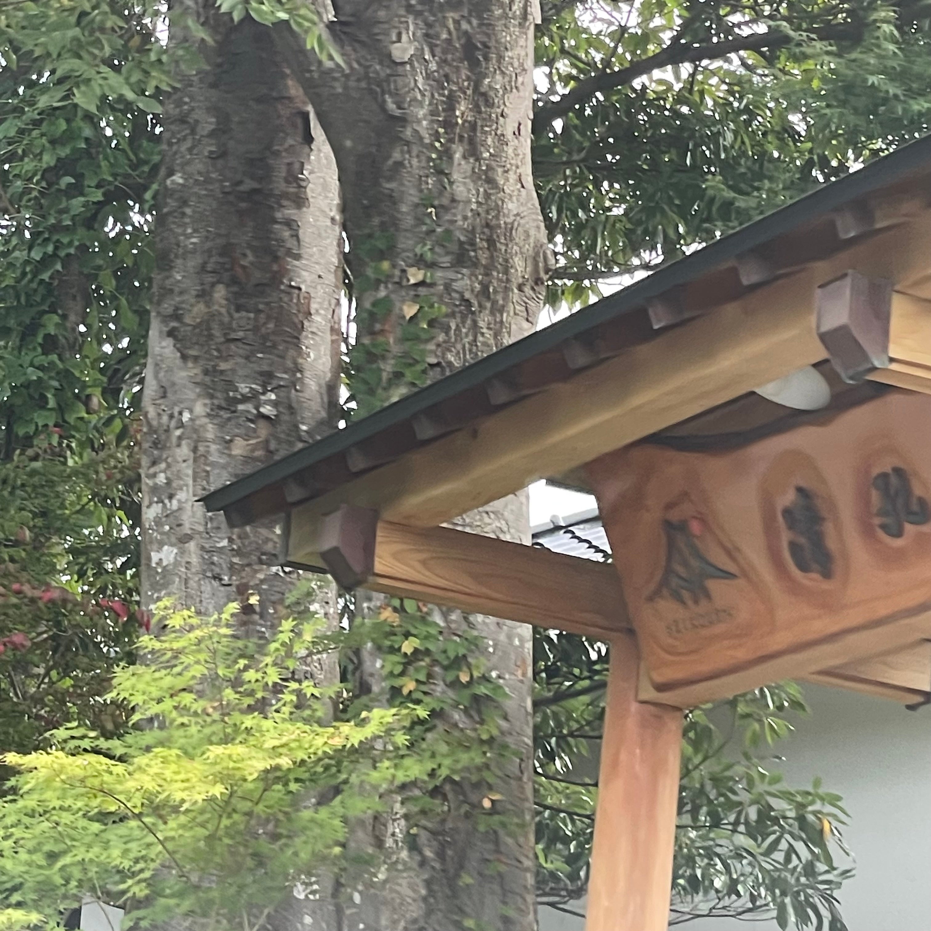 清孔苑_3枚目