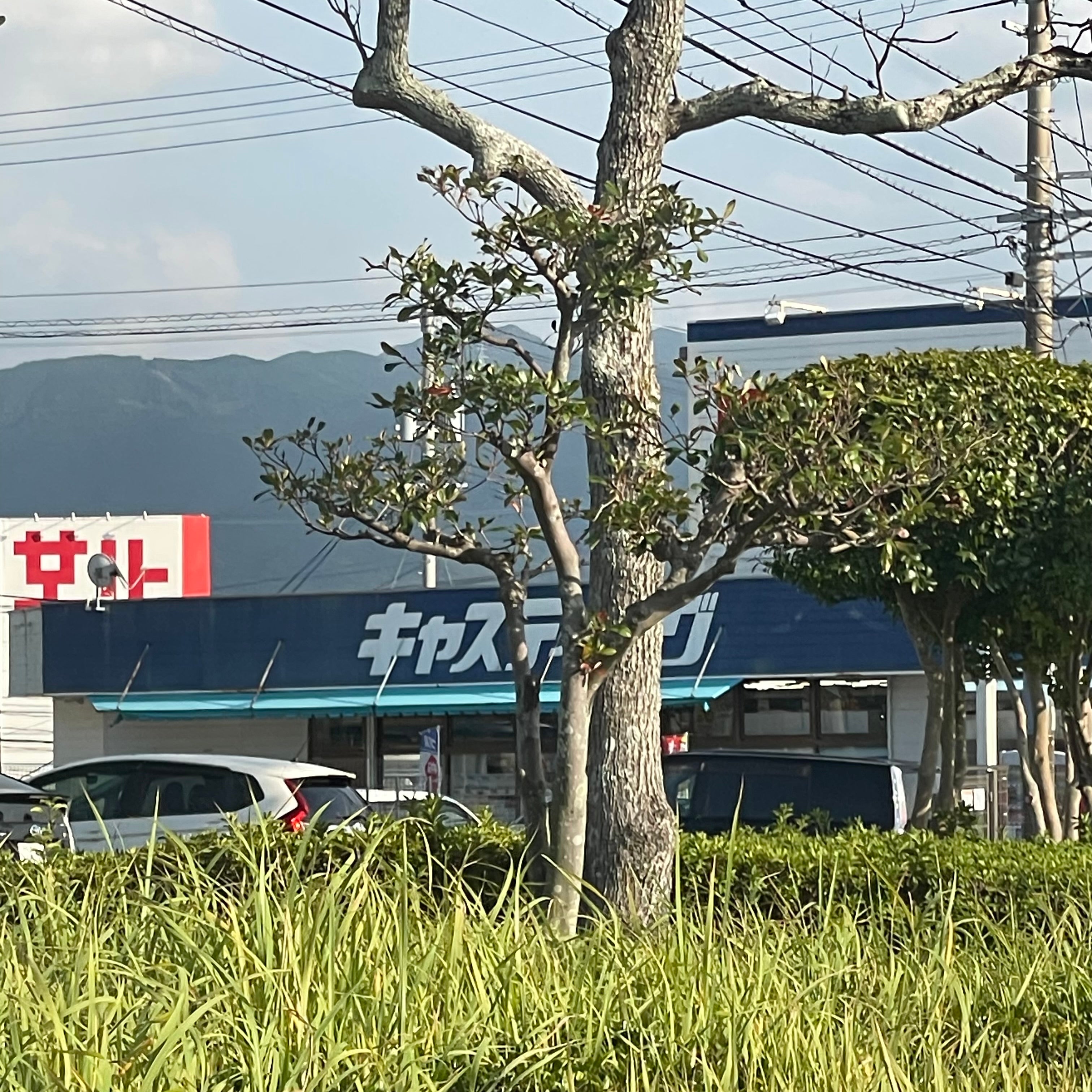 キャスティング　唐津店_2枚目